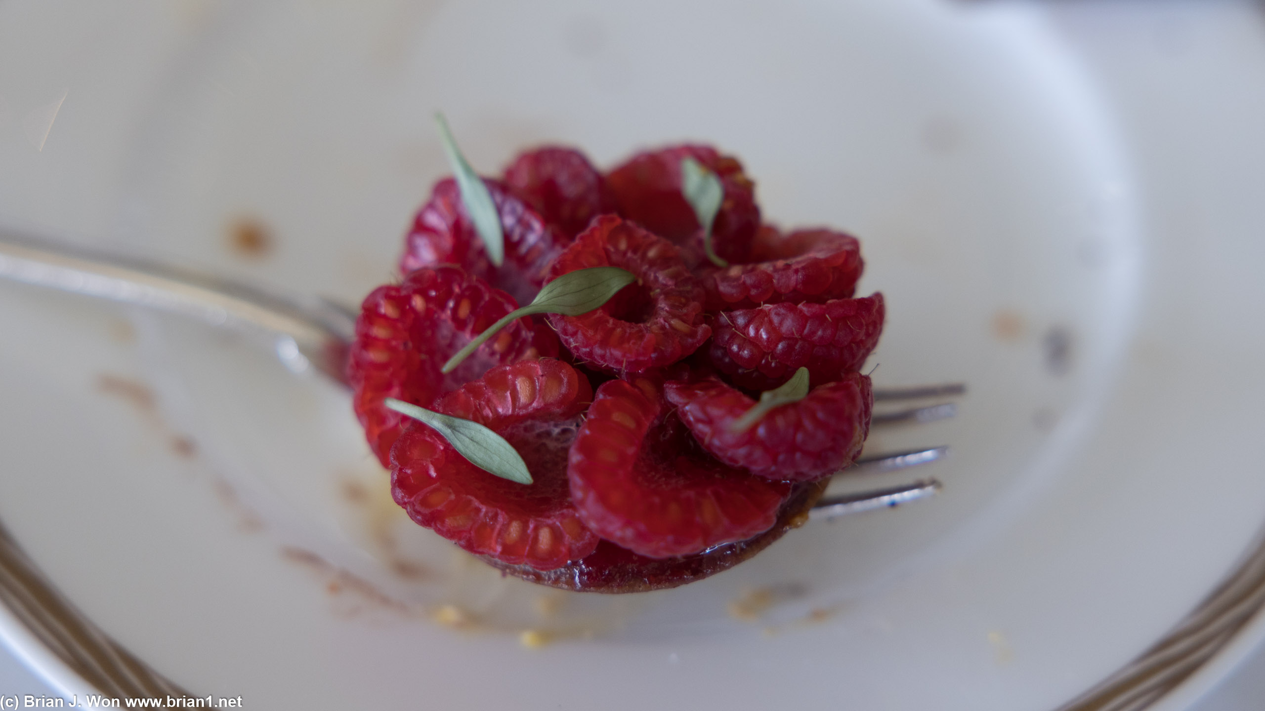 Raspberry tart.