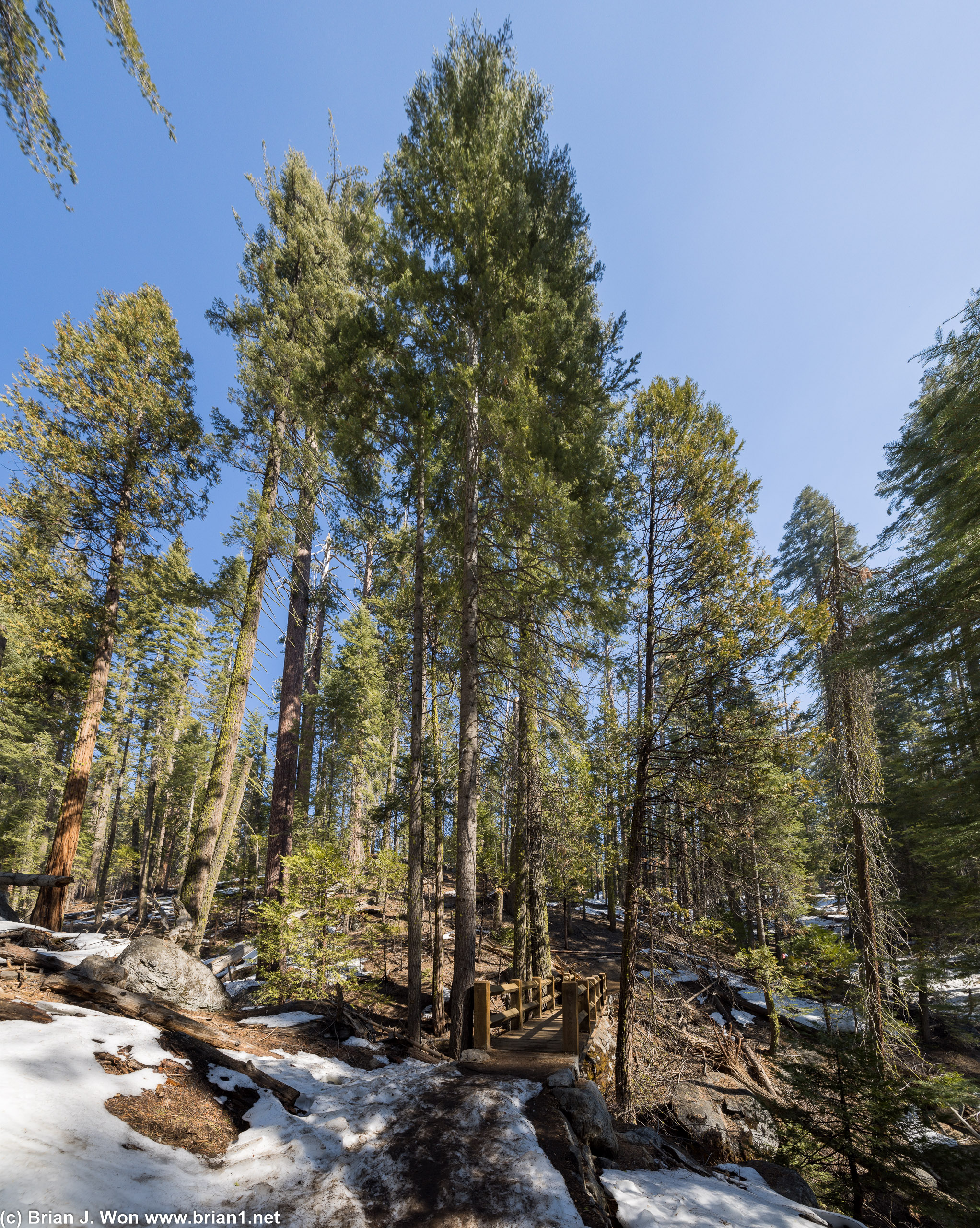 Starting the hike from the Mariposa Grove Welcome Plaza toward the upper parking area (closed winters).