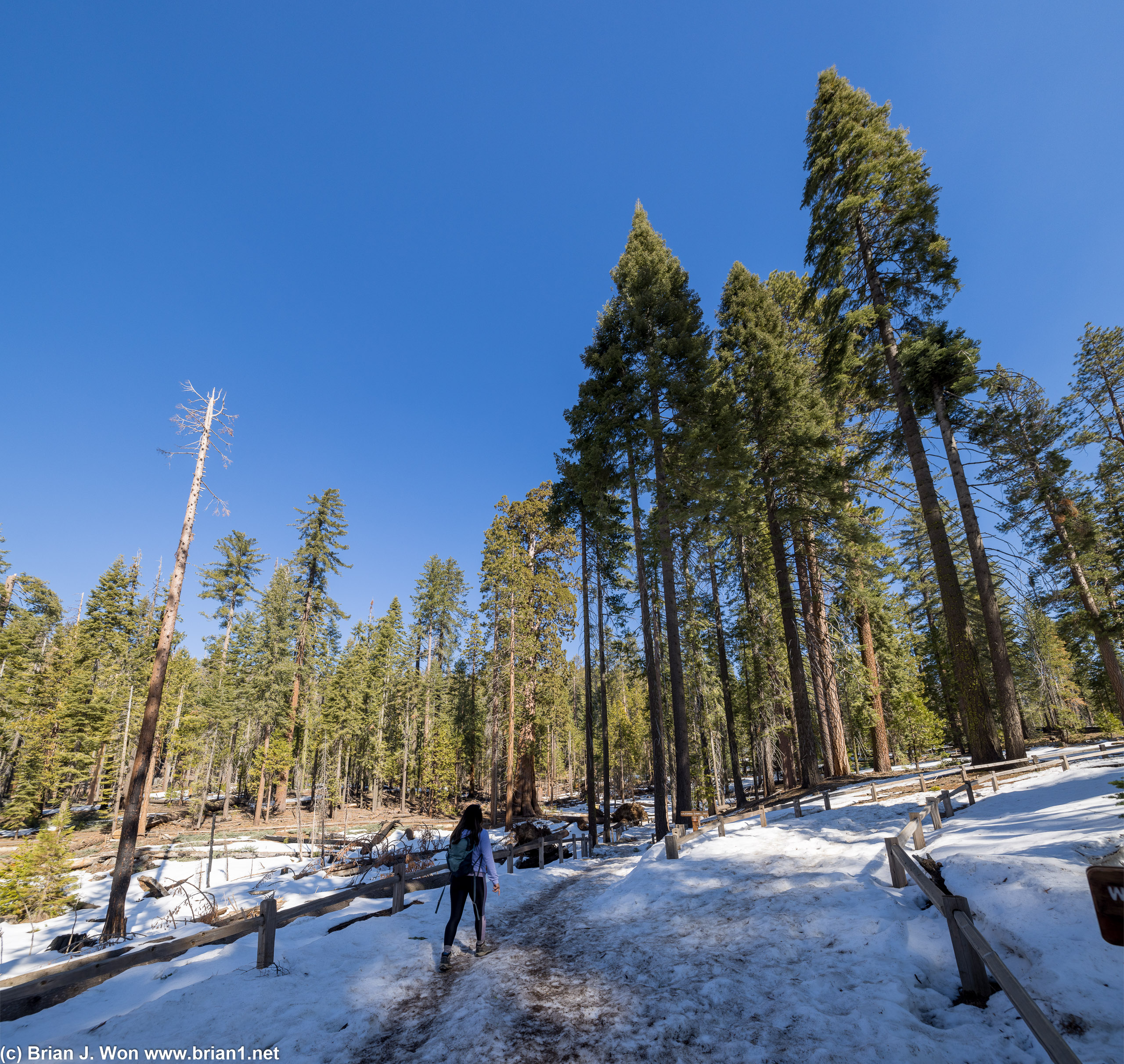 Heading further down the trail.