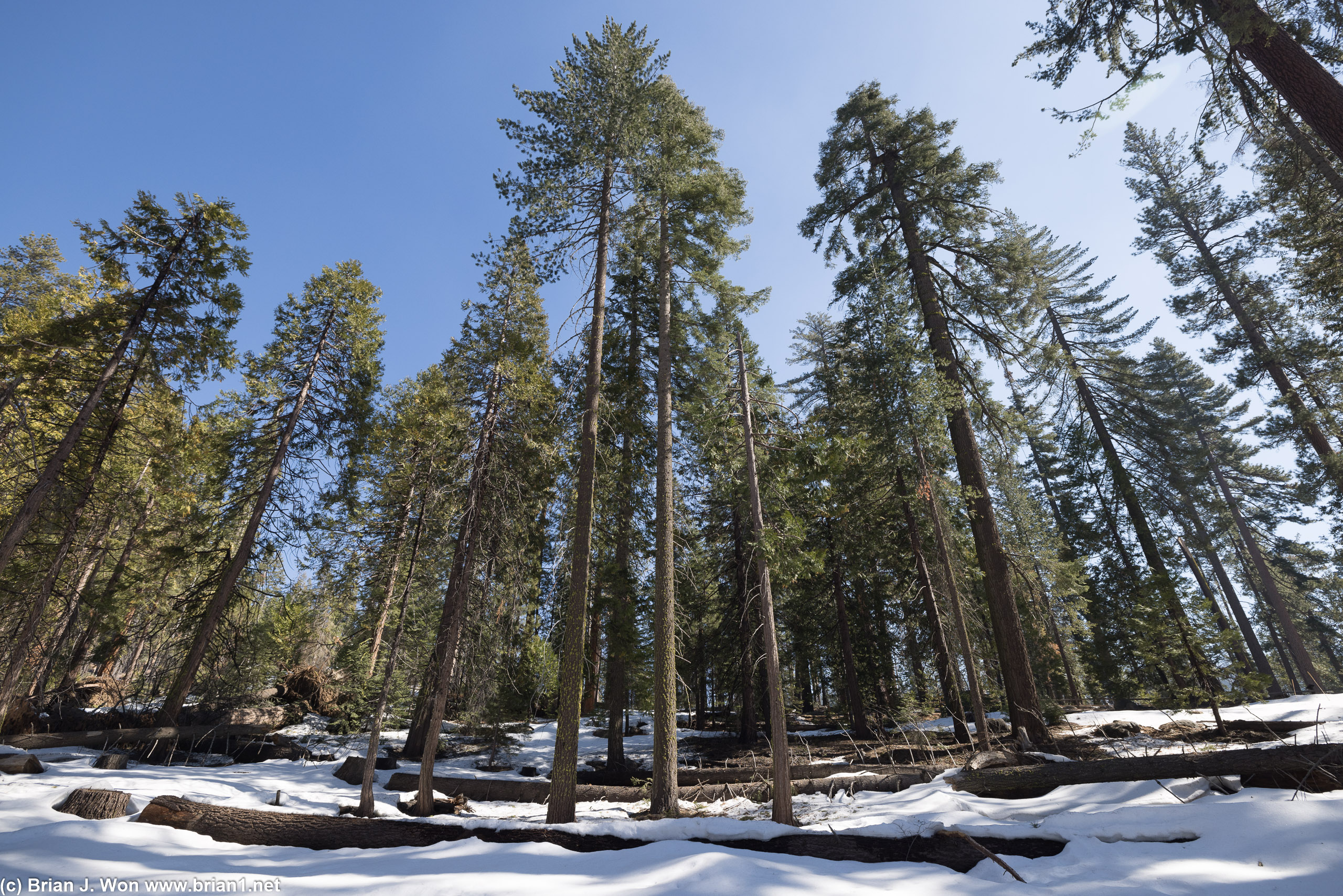 Snow all over just shy of 6,000 feet.