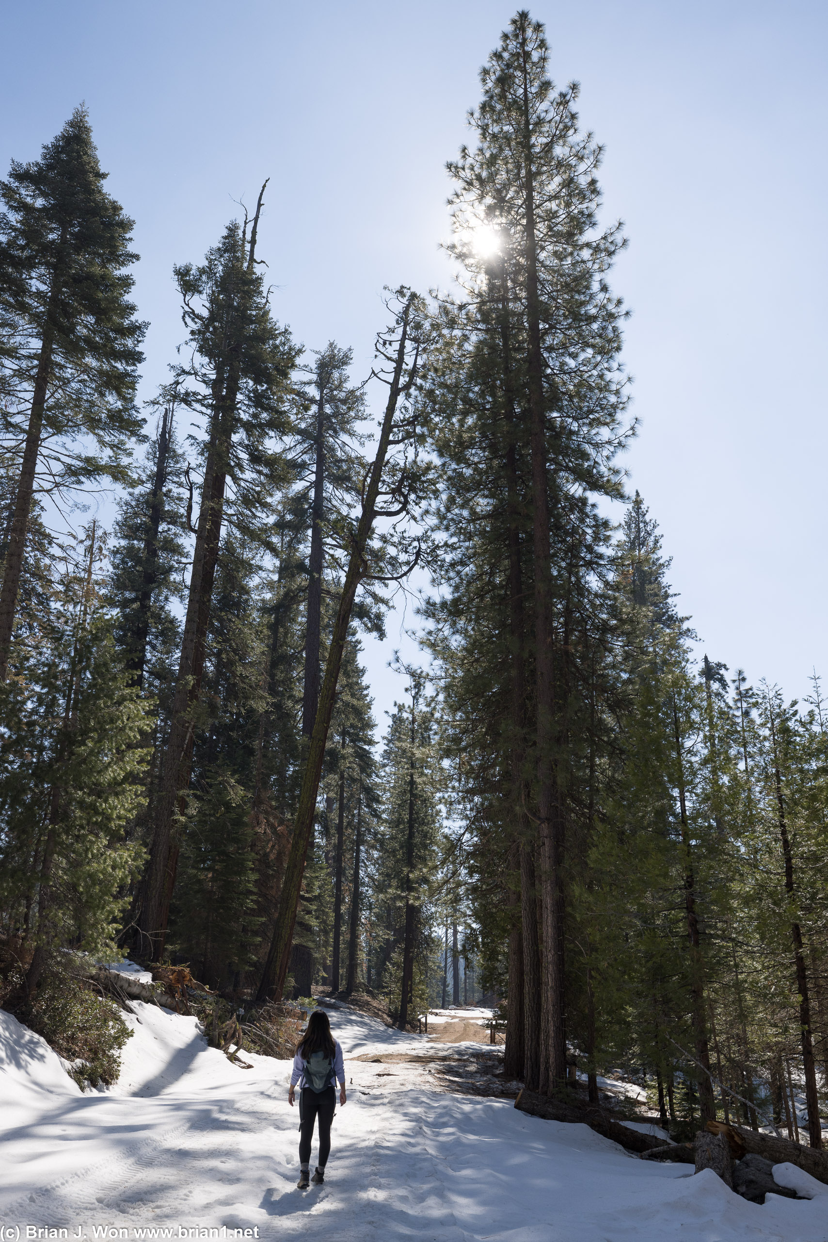 Hiking back.