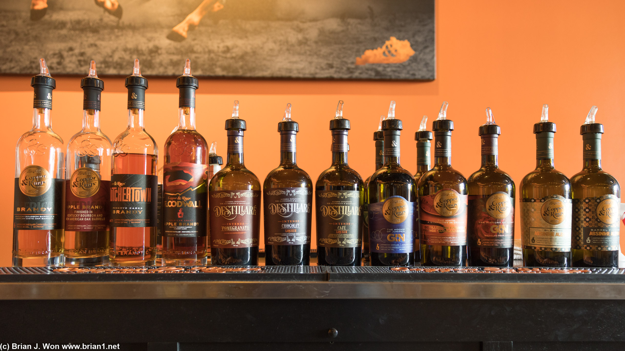 The line-up.