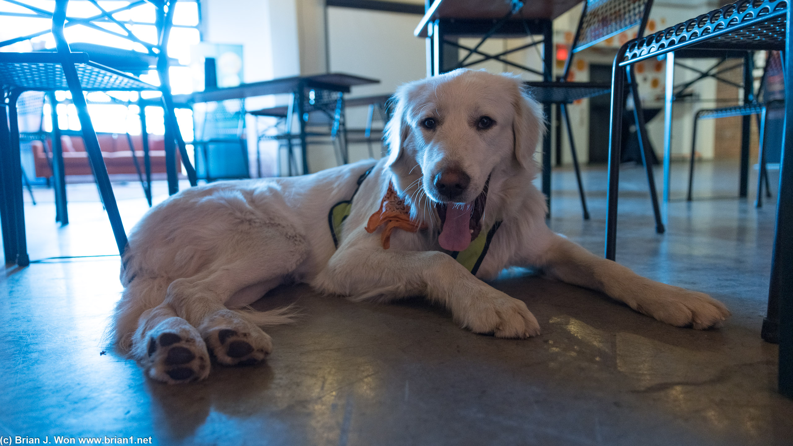 Employee of the month.