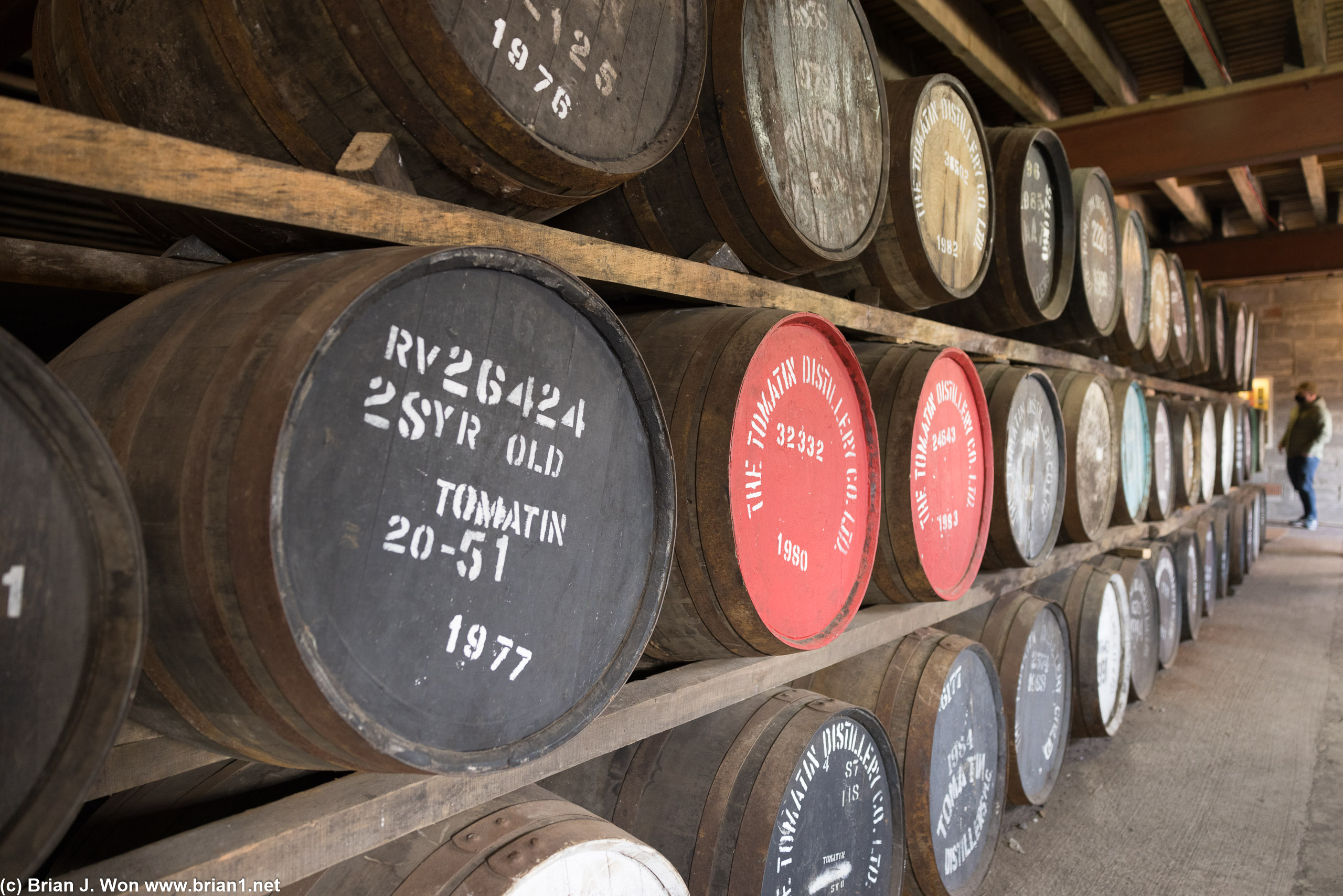 Rows and rows of whisky barrels.
