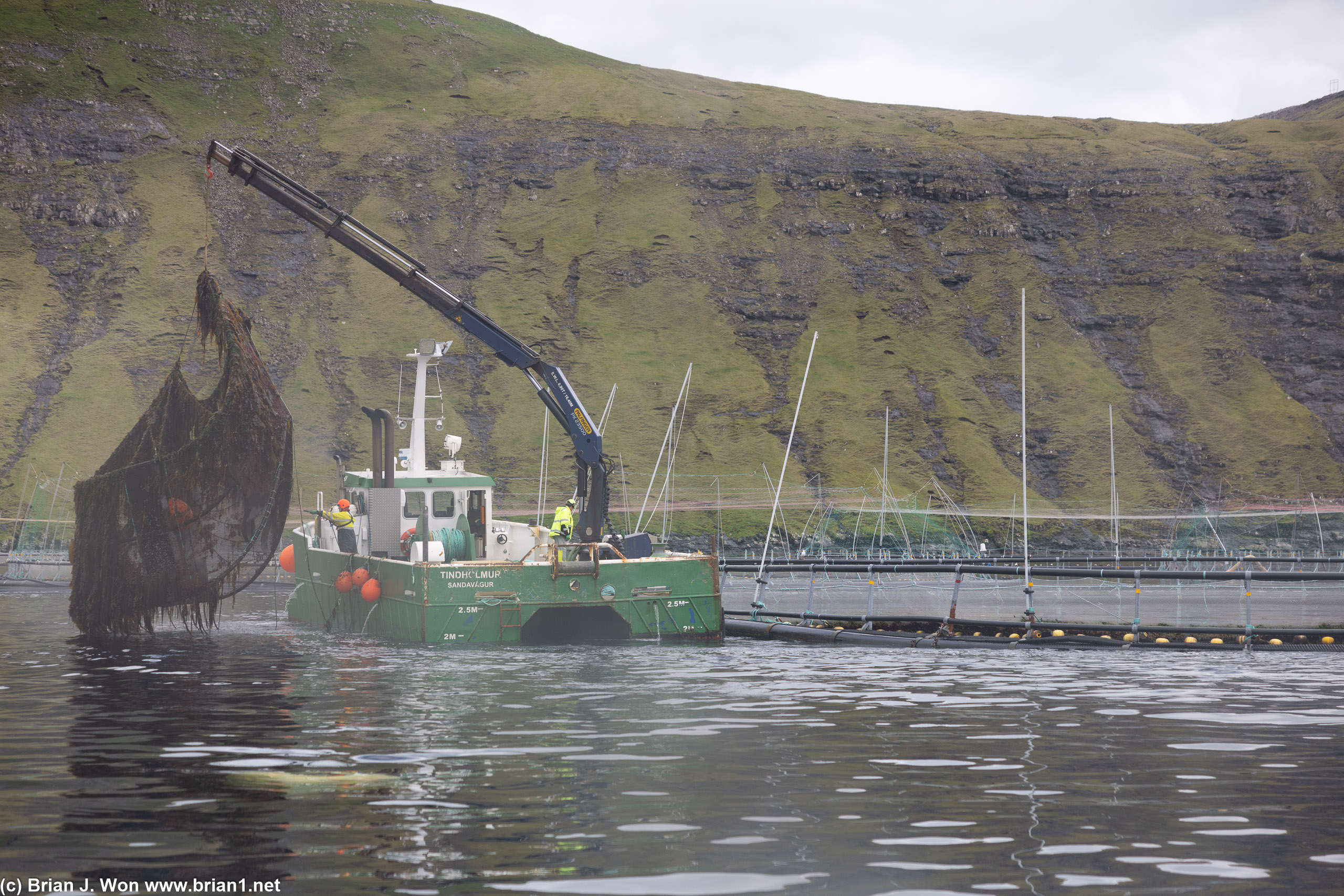 Salmon farming in Vestmanna.