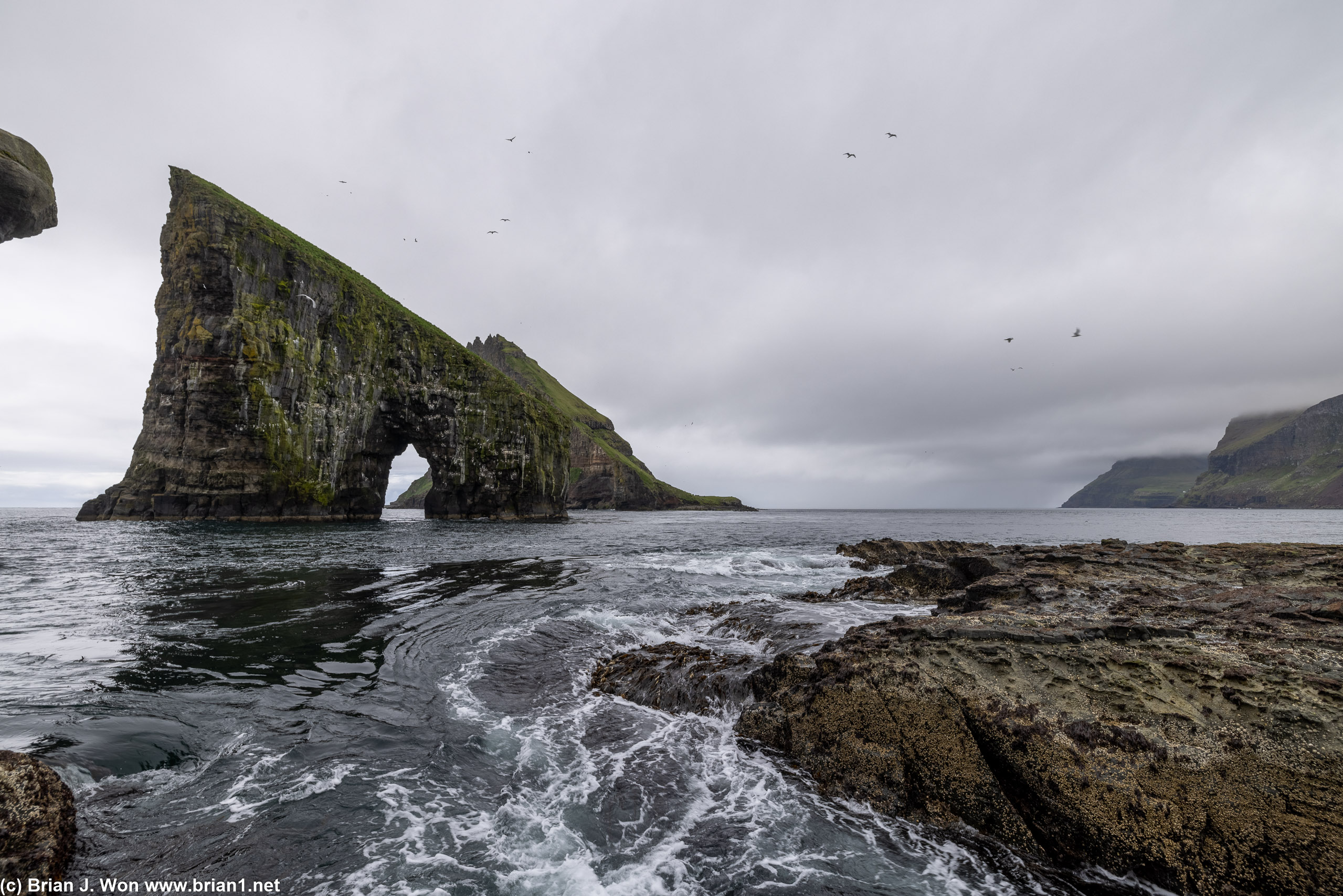 A shorter exposure freezes the birds and the currents.