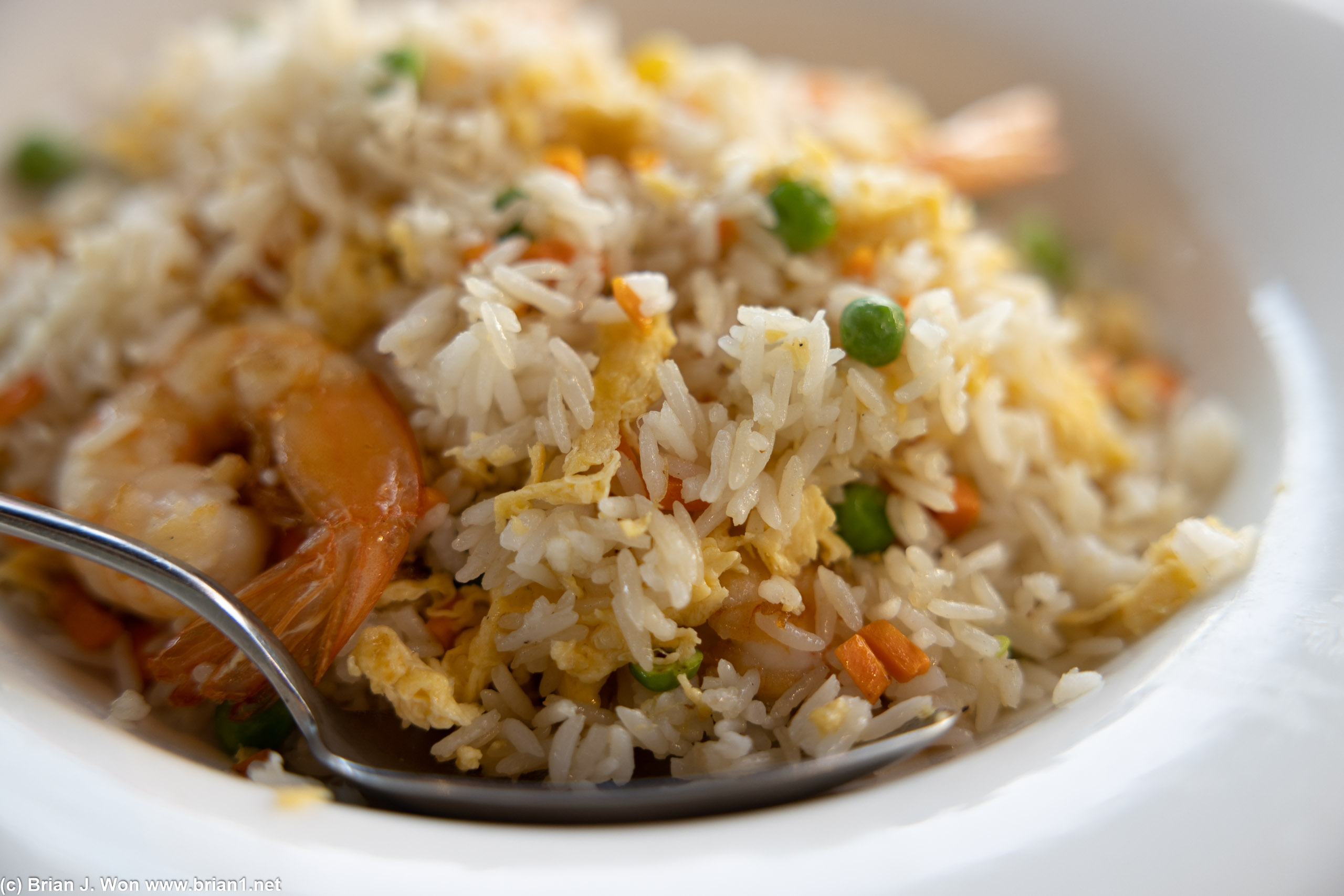 Fried rice was quite decent for mall food.
