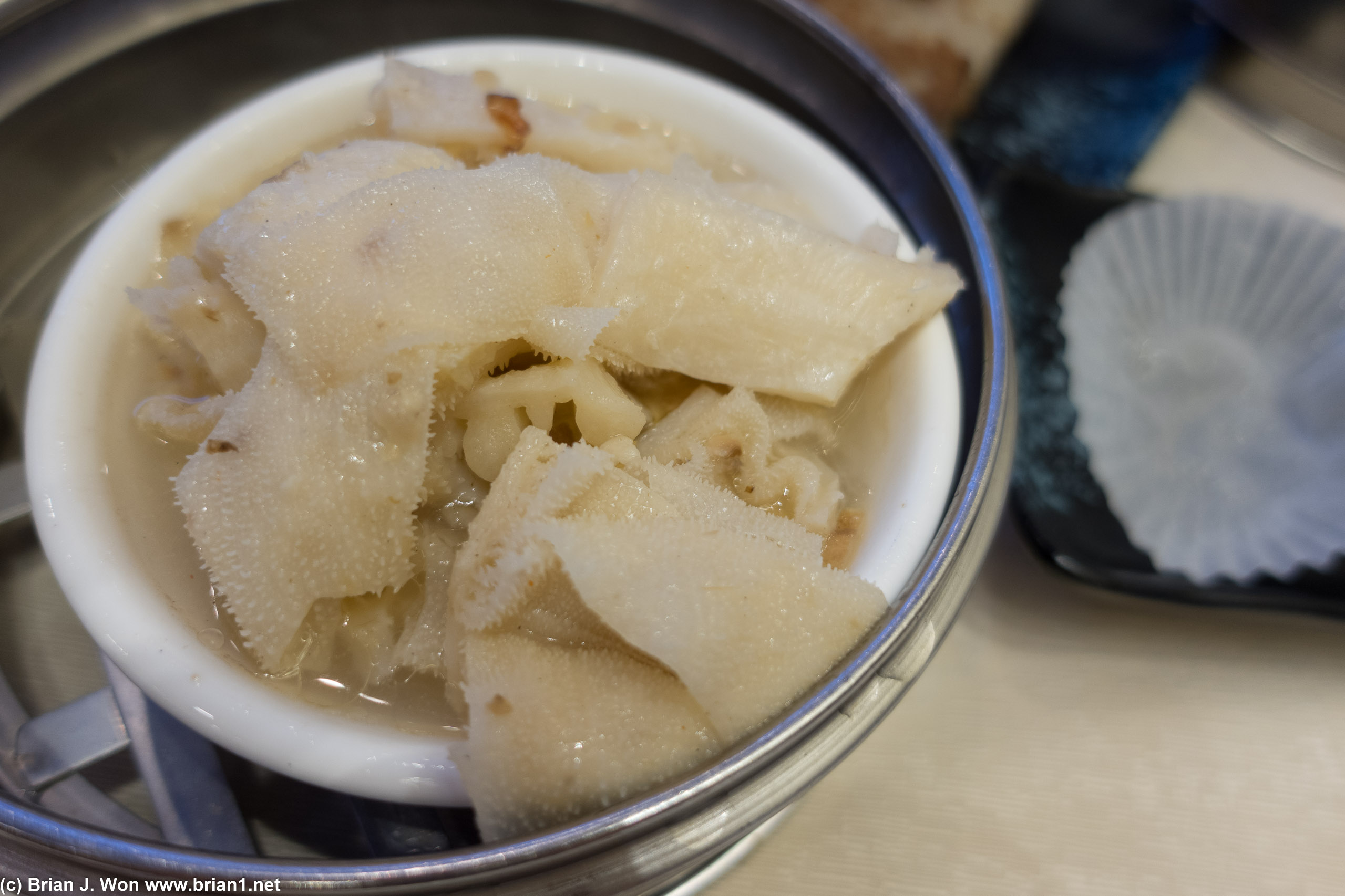 Beef tripe, not pretty, but did the job.