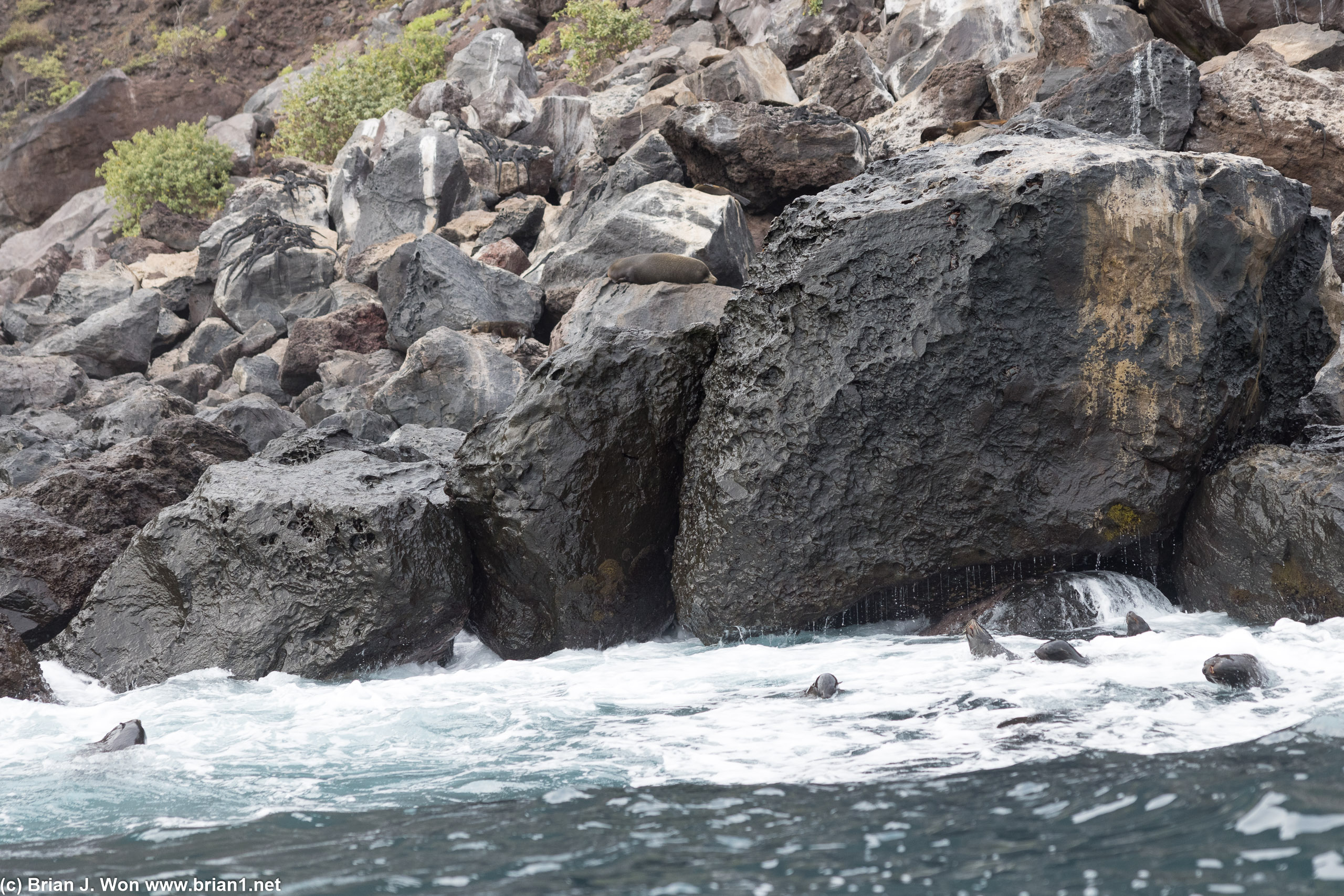 No lazing on the rocks, everyone into the water.
