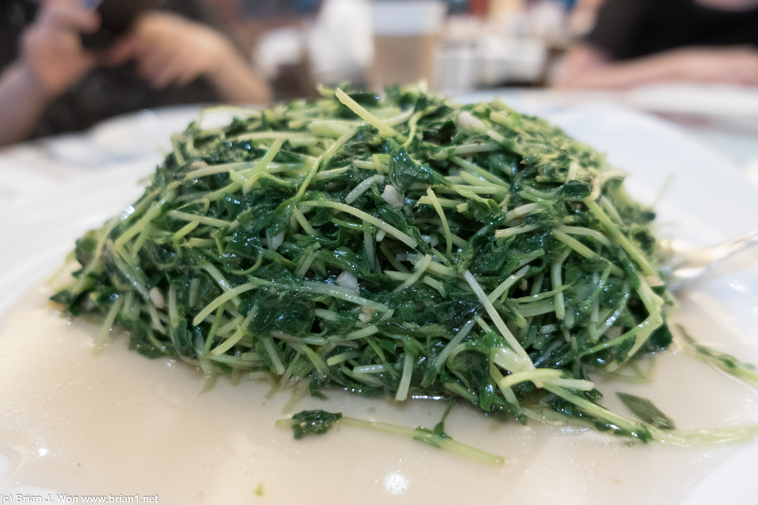 Pea sprouts at Newport Seafood.