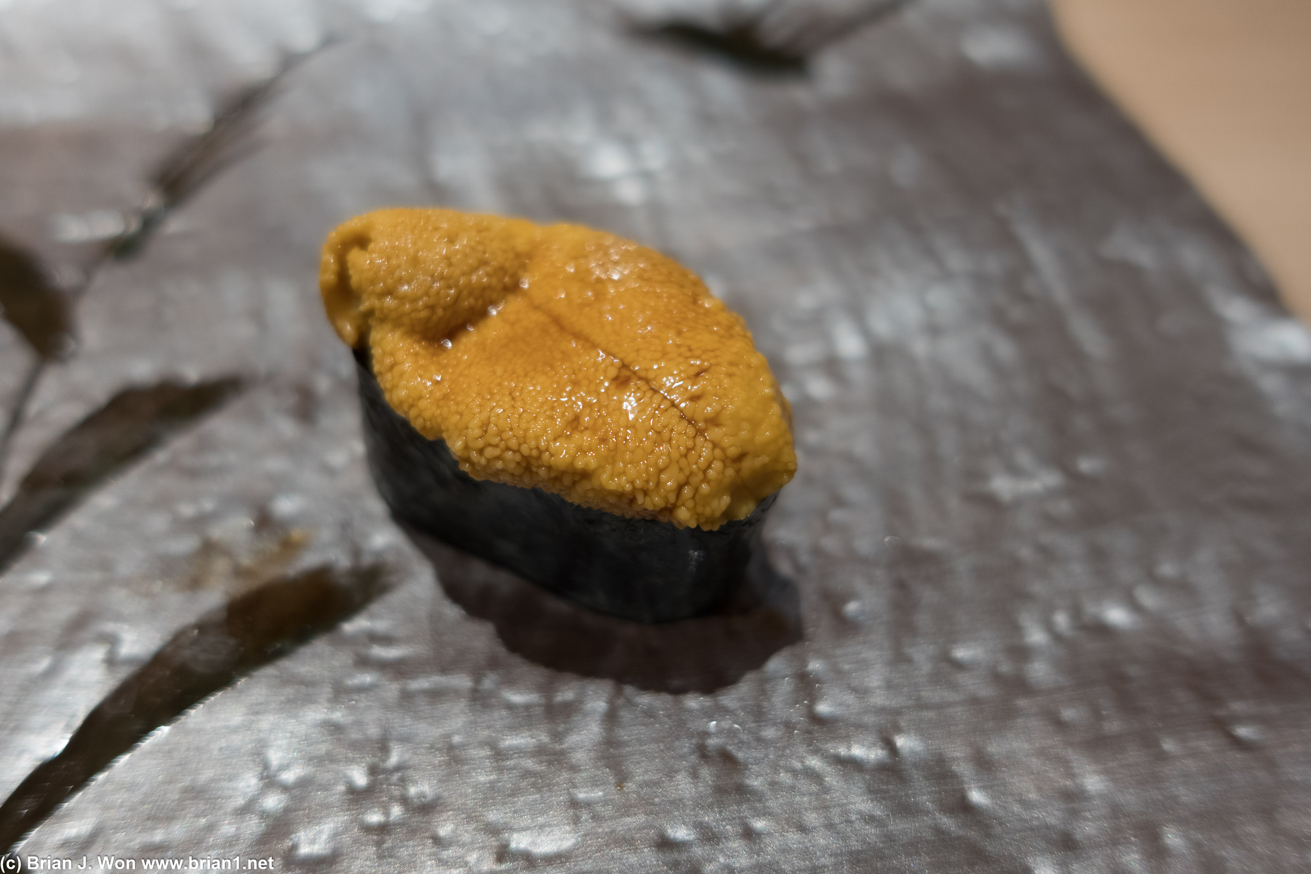 Uni (sea urchin).