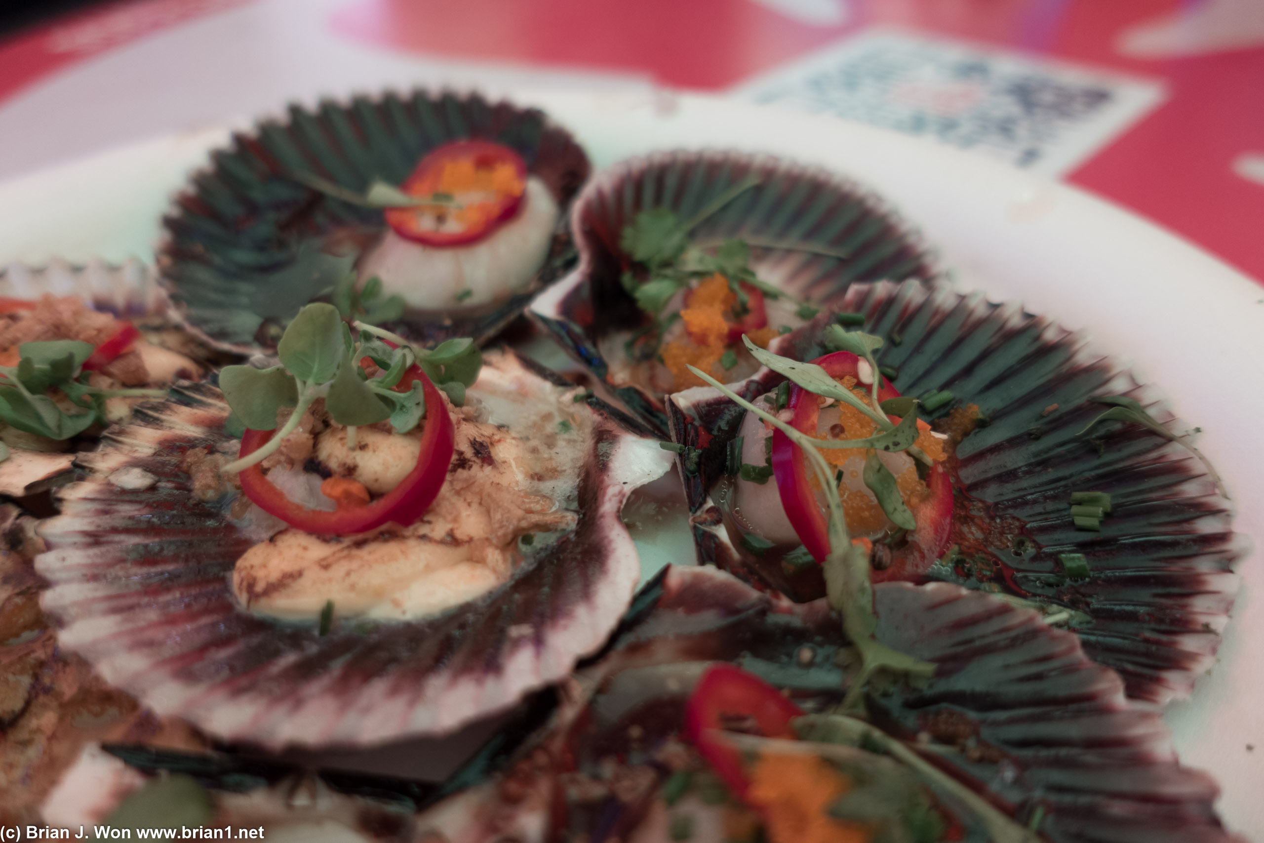 Scallops.
