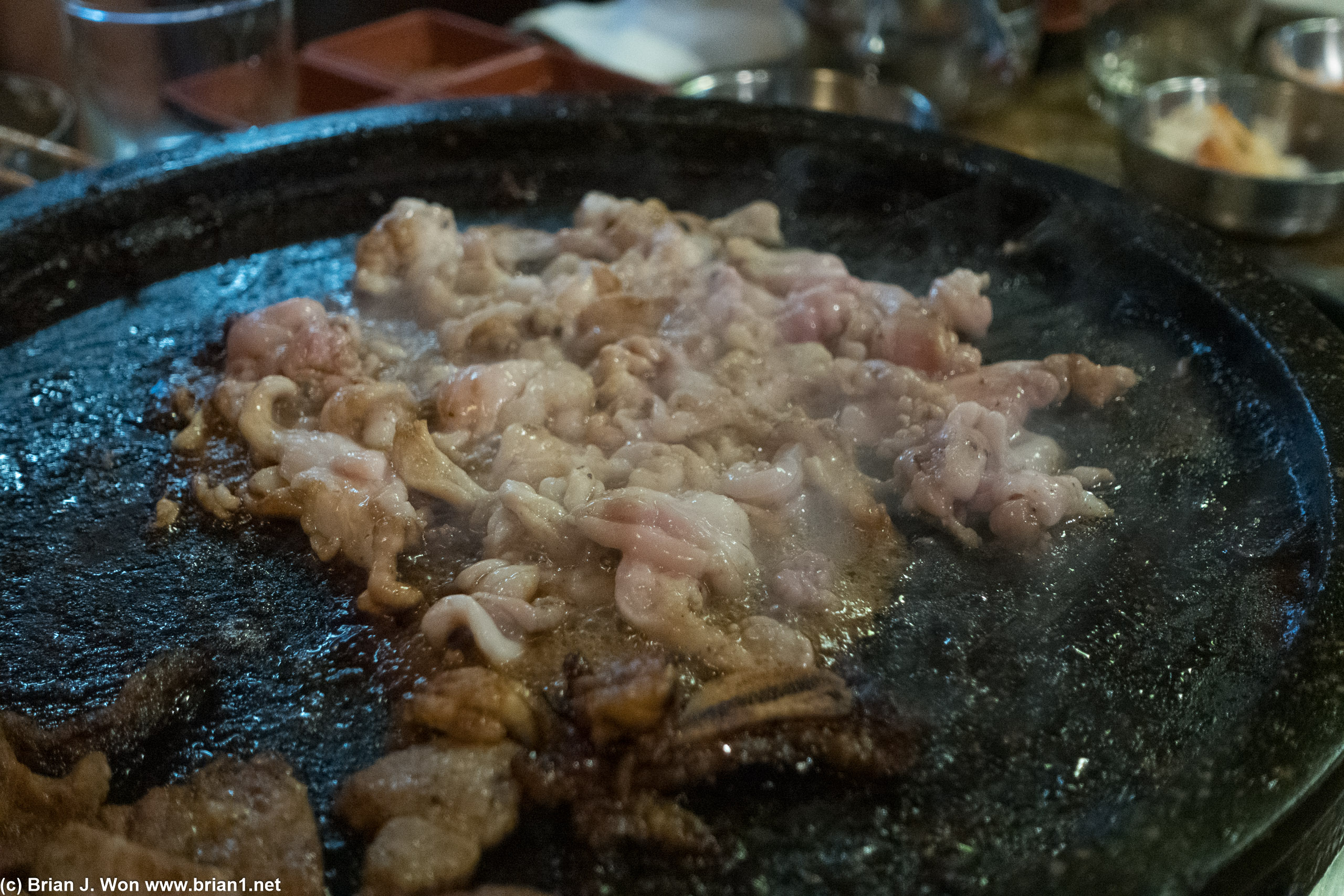 Intestine.