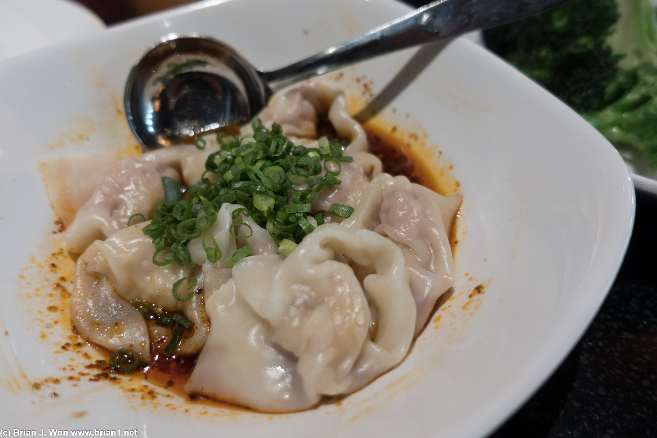 Spicy shrimp and pork won tons. Nom.