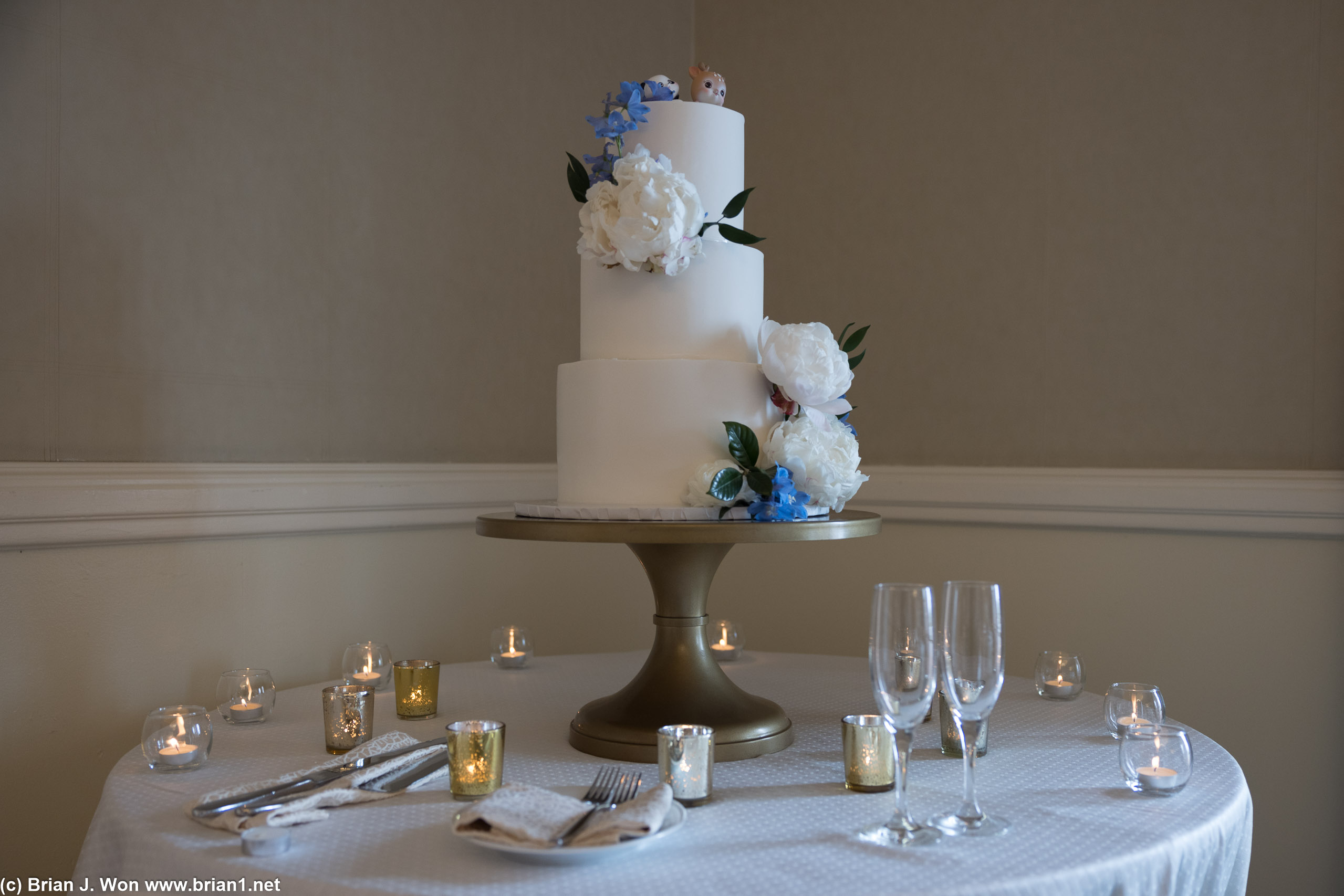 The cake.