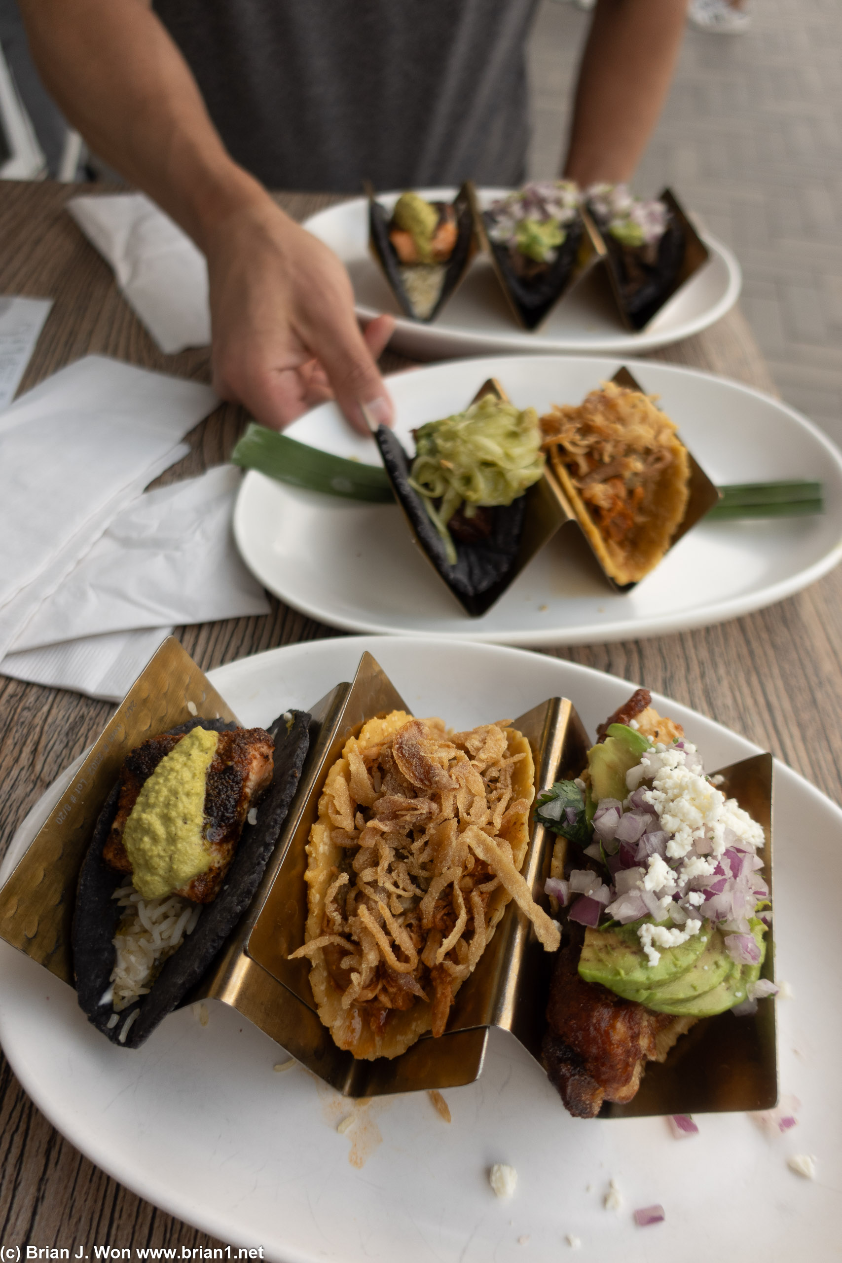 The spread.