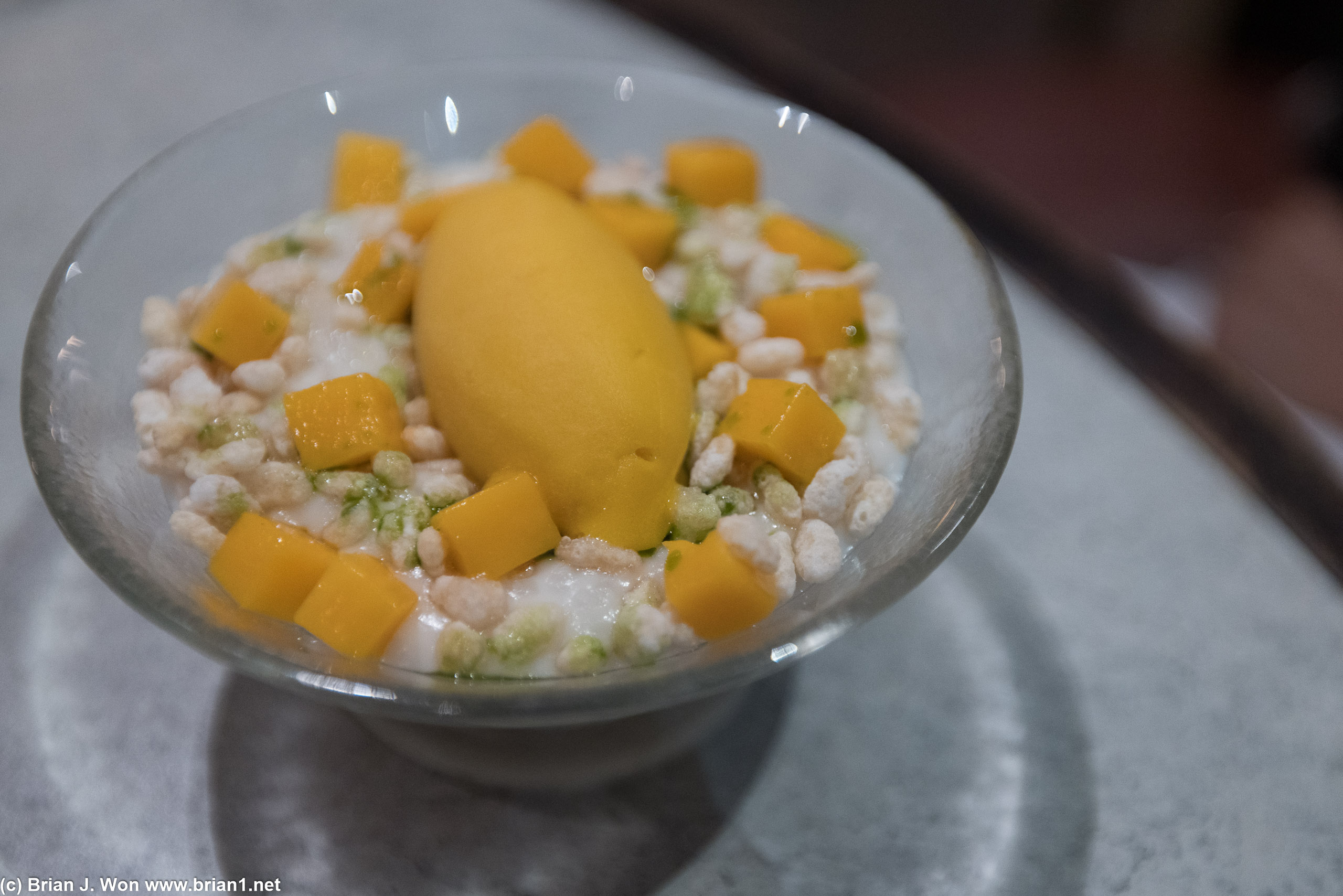 Baked torte with puffed rice, caramelized milk and yogurt sorbet.