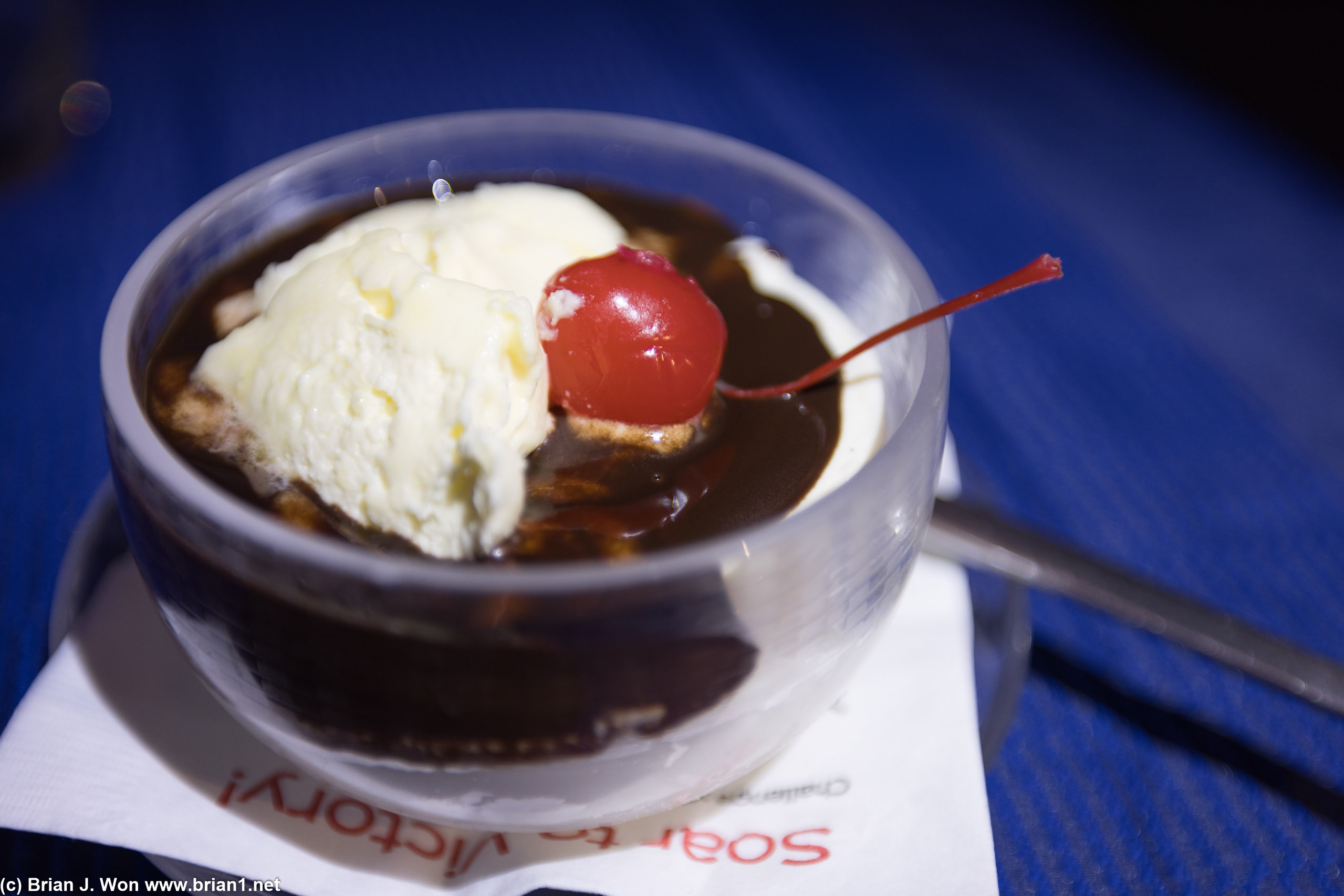 Not sure if it was fudge or chocolate syrup, but if the former, it was pretty bad fudge.