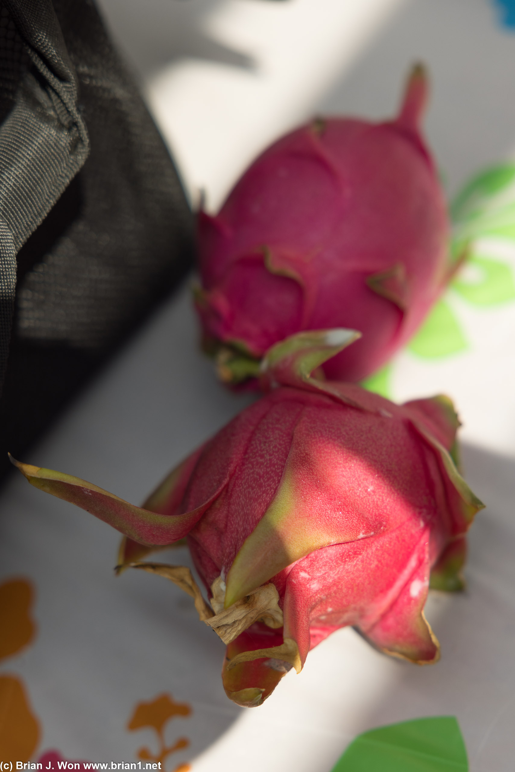 Andrew's home-grown dragonfruit.
