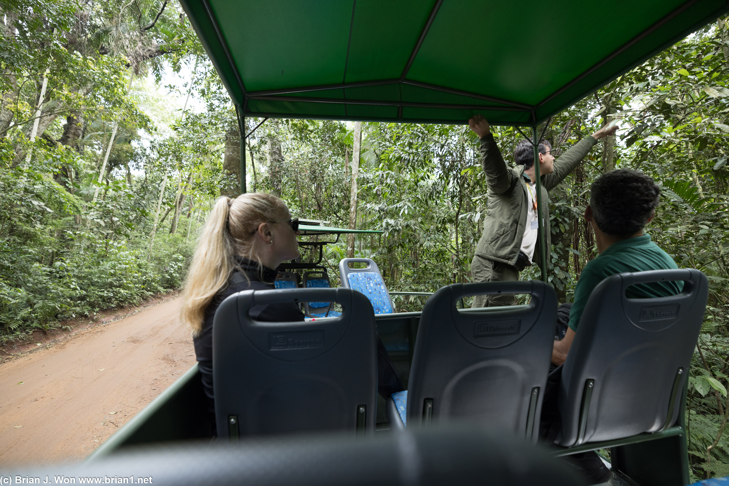 Macuco Safari guide is very excited.