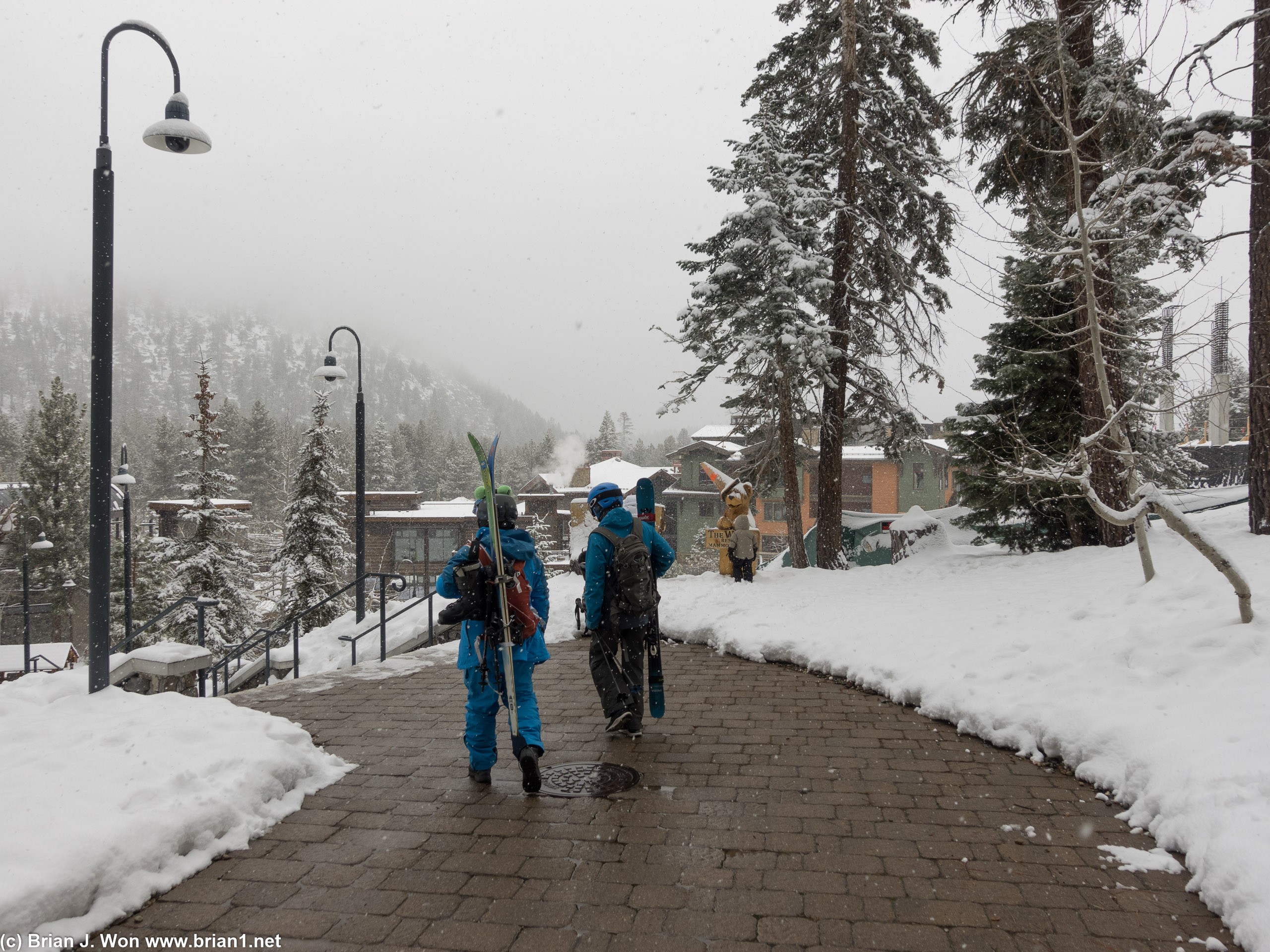Gotta love fresh snow.