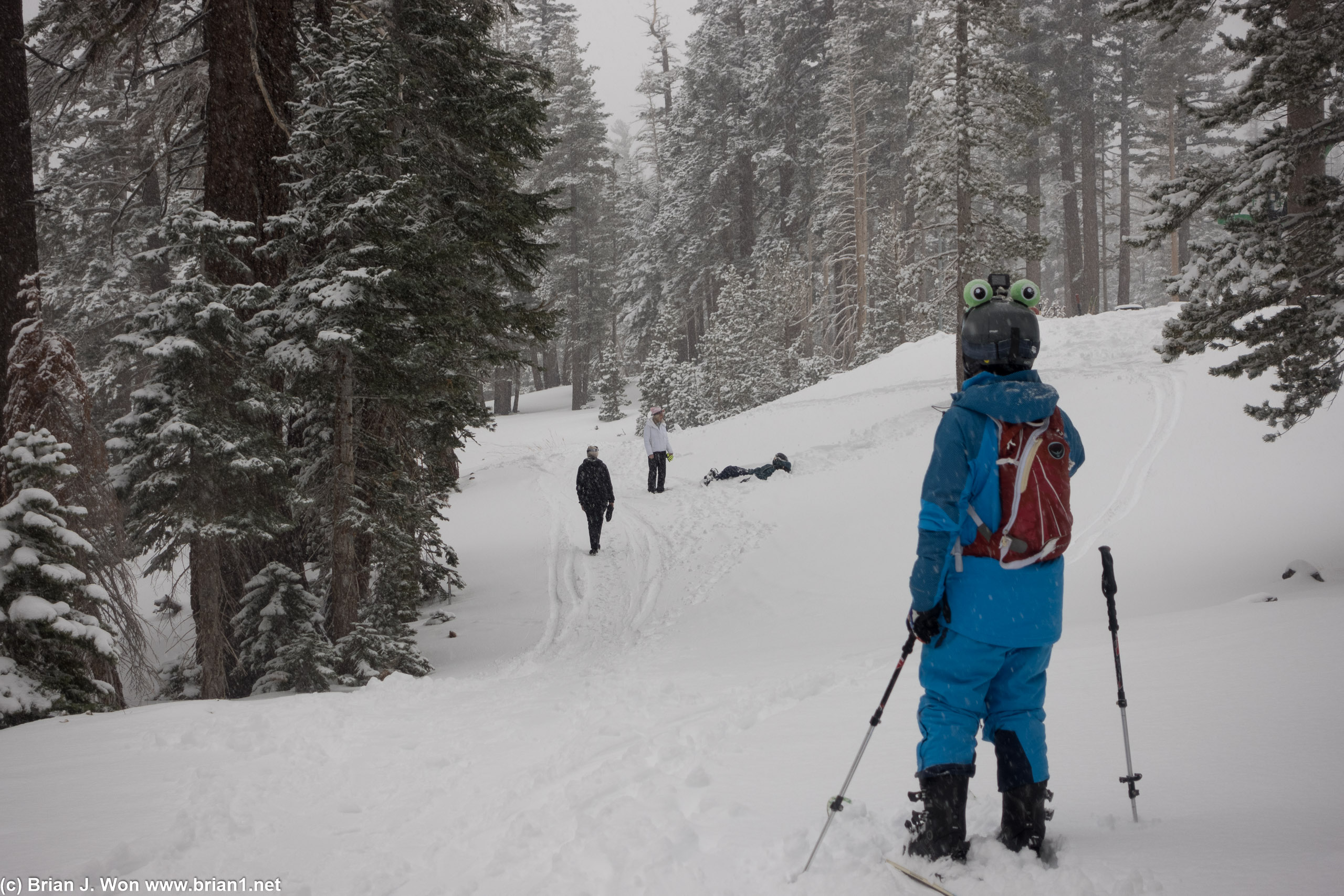 Siva stuck on the ski back trail.