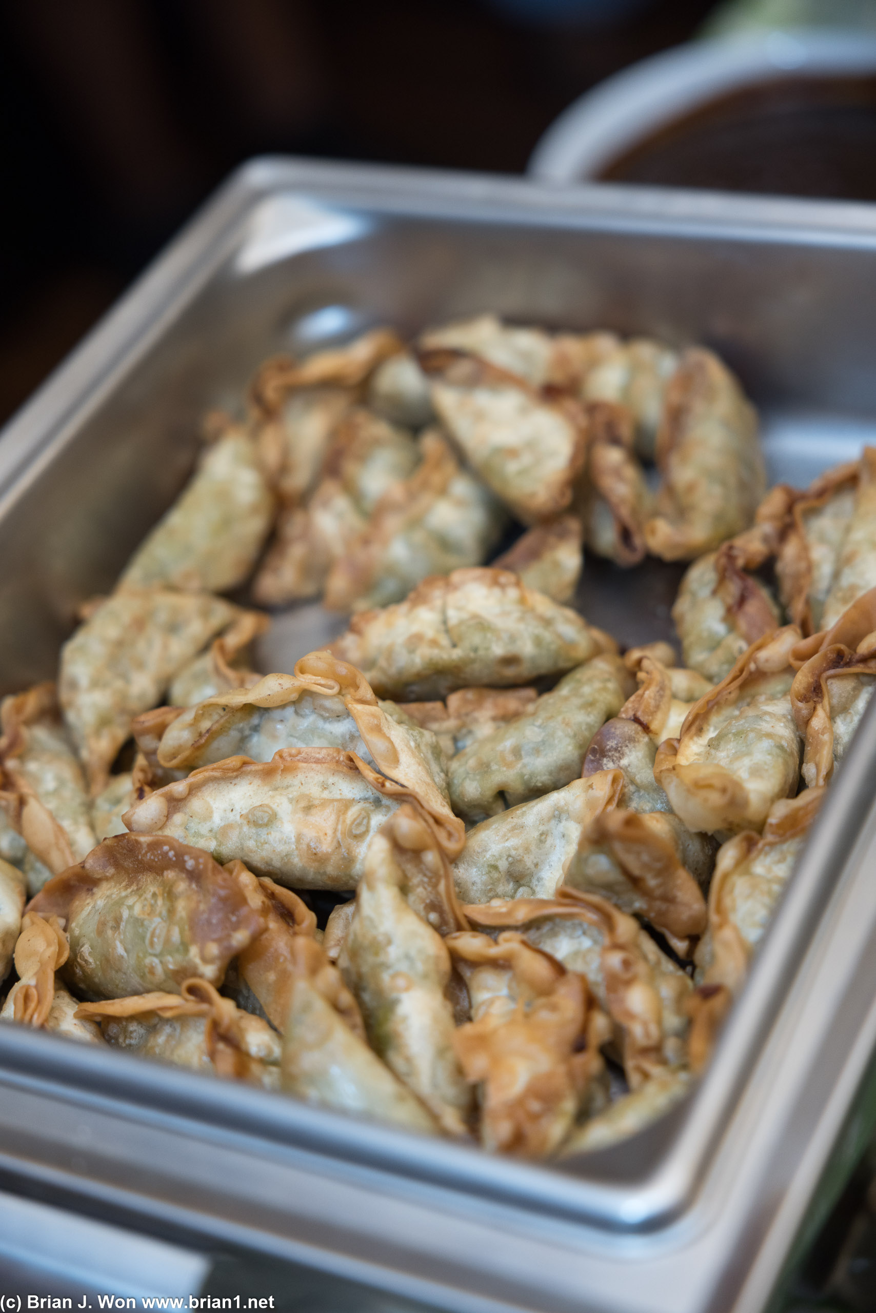 Potstickers with pork and edamame (wha?).