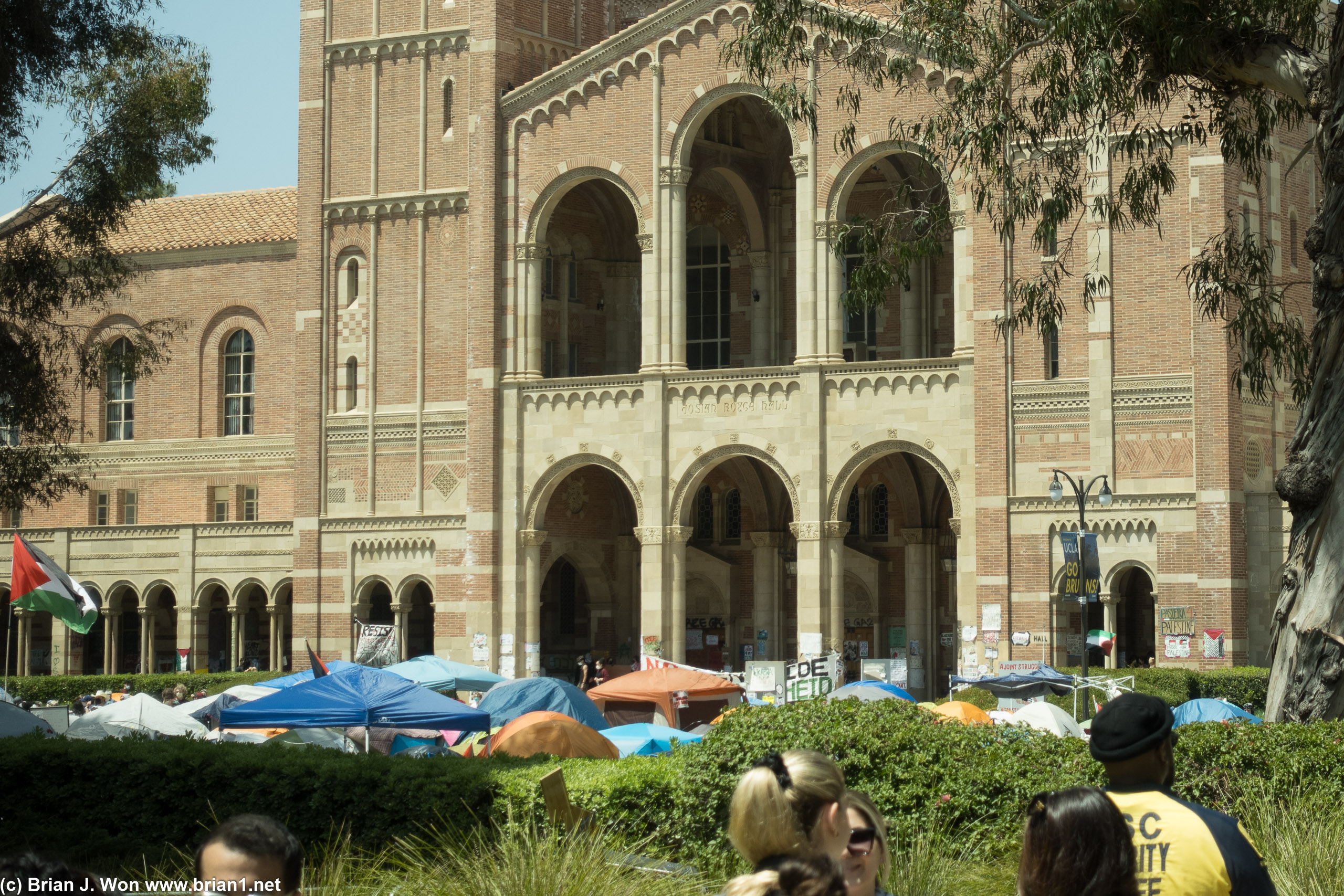 Viewed from the east side of Powell Library.