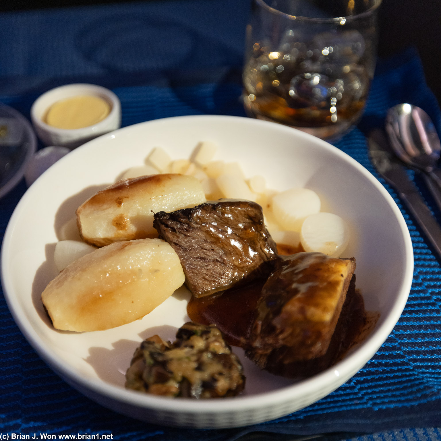 Shortrib was okay. Not sure what the white round vegetable was.