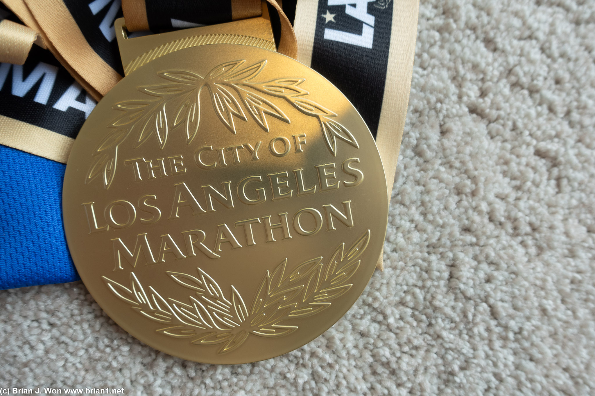 Close-up, reverse side, of LA Loyal 10 year medal.