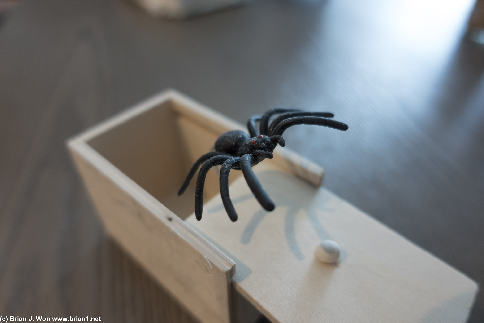 Lucas was very proud of his pop-up spider box.