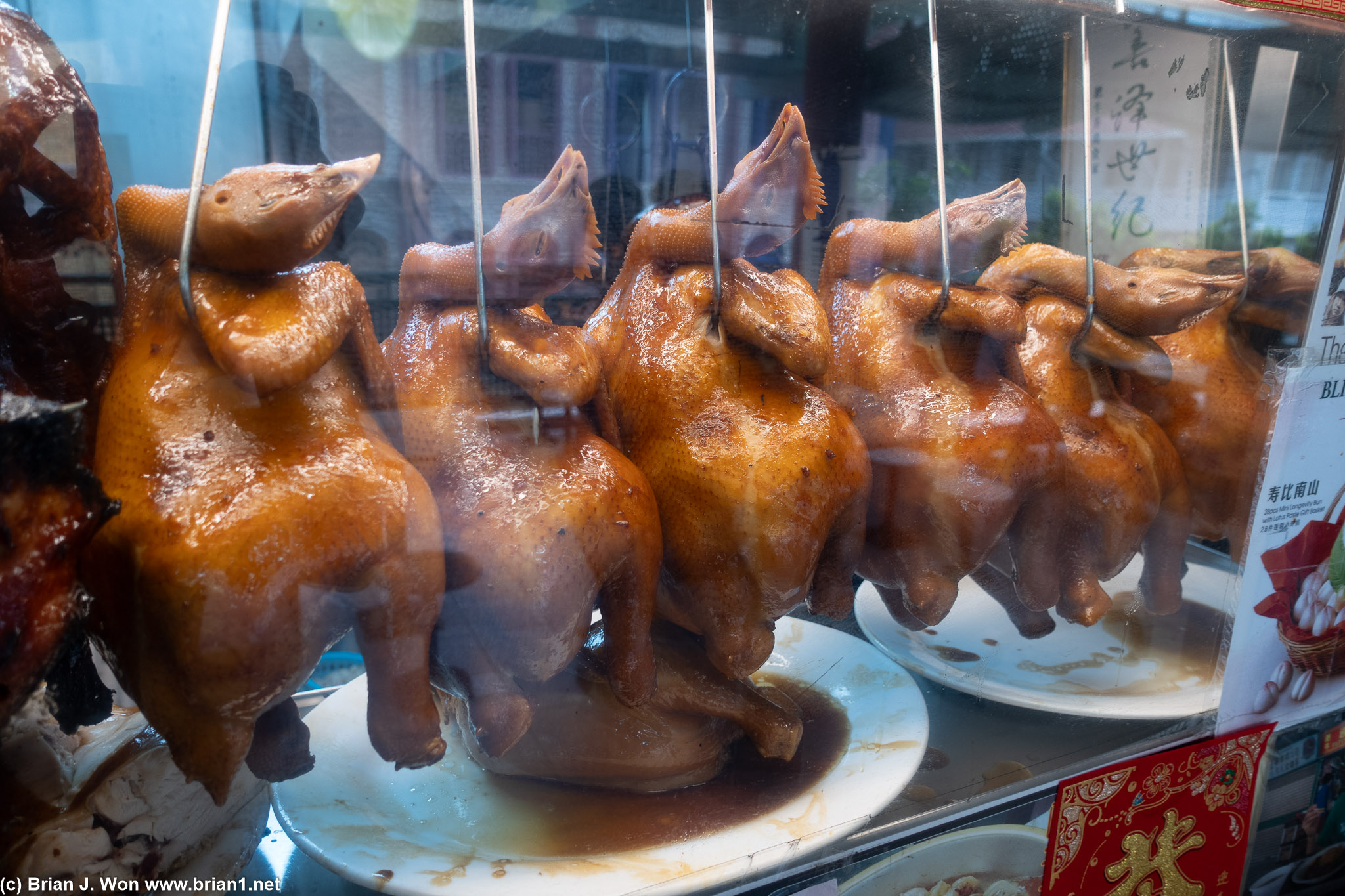 Fat chickens.
