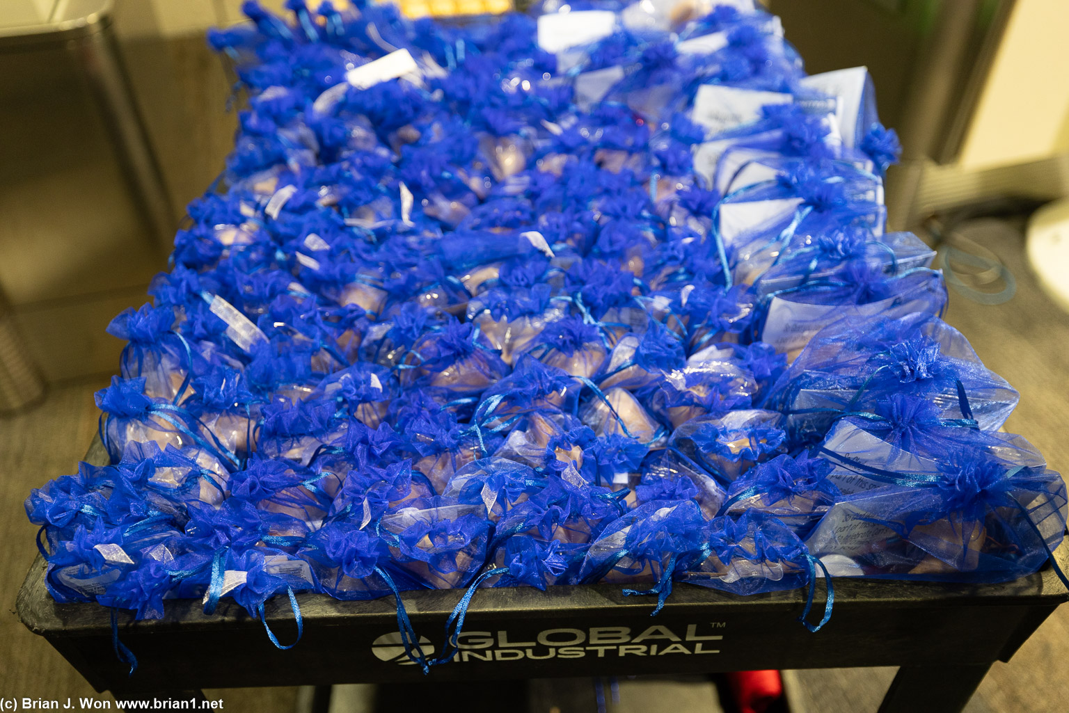 Gifts for everyone on the plane.