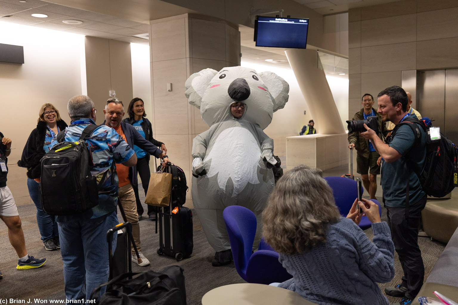 A wild koala appears.
