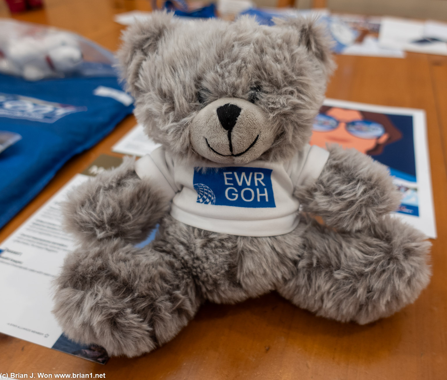 EWR-GOH inaugural flight teddy bear.