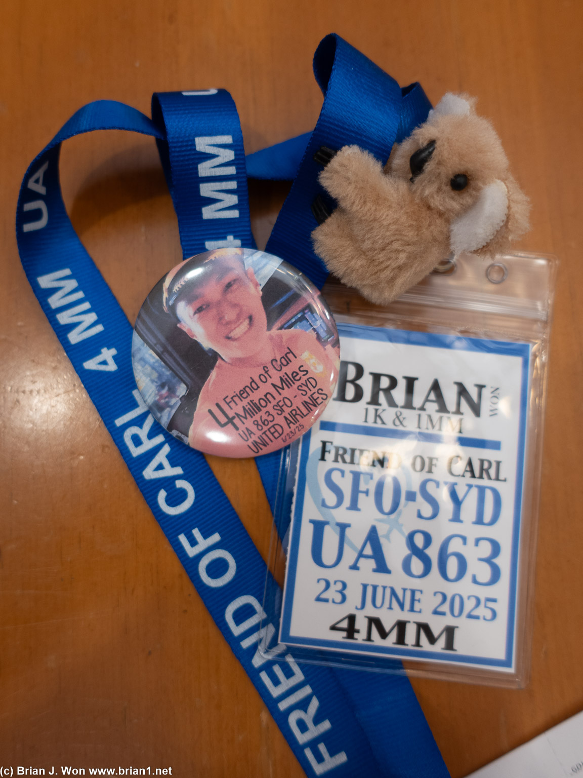 Badge, lanyard, button, koala.