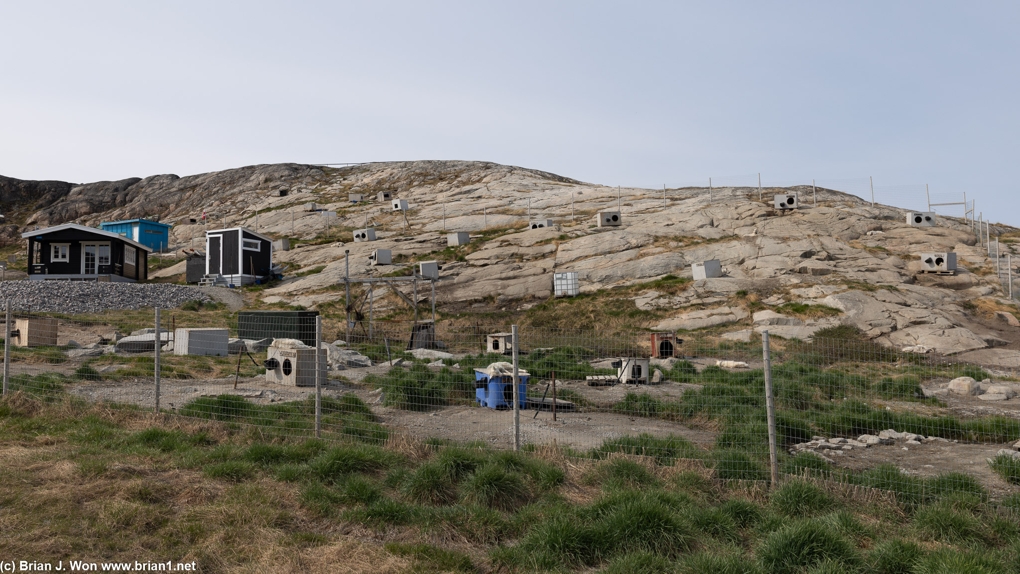 Used to be over 3,000 sled dogs in Ilulissat, but heard it was below 2,000 today.