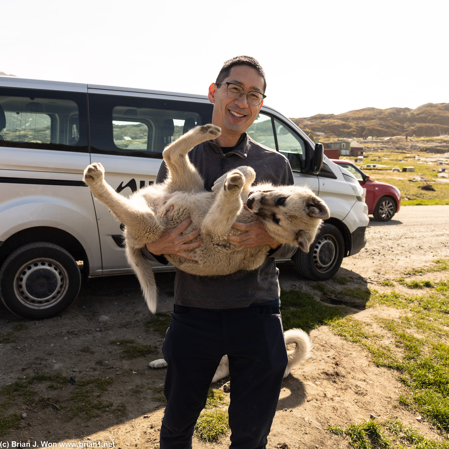 Holding a very happy sled dog puppy.