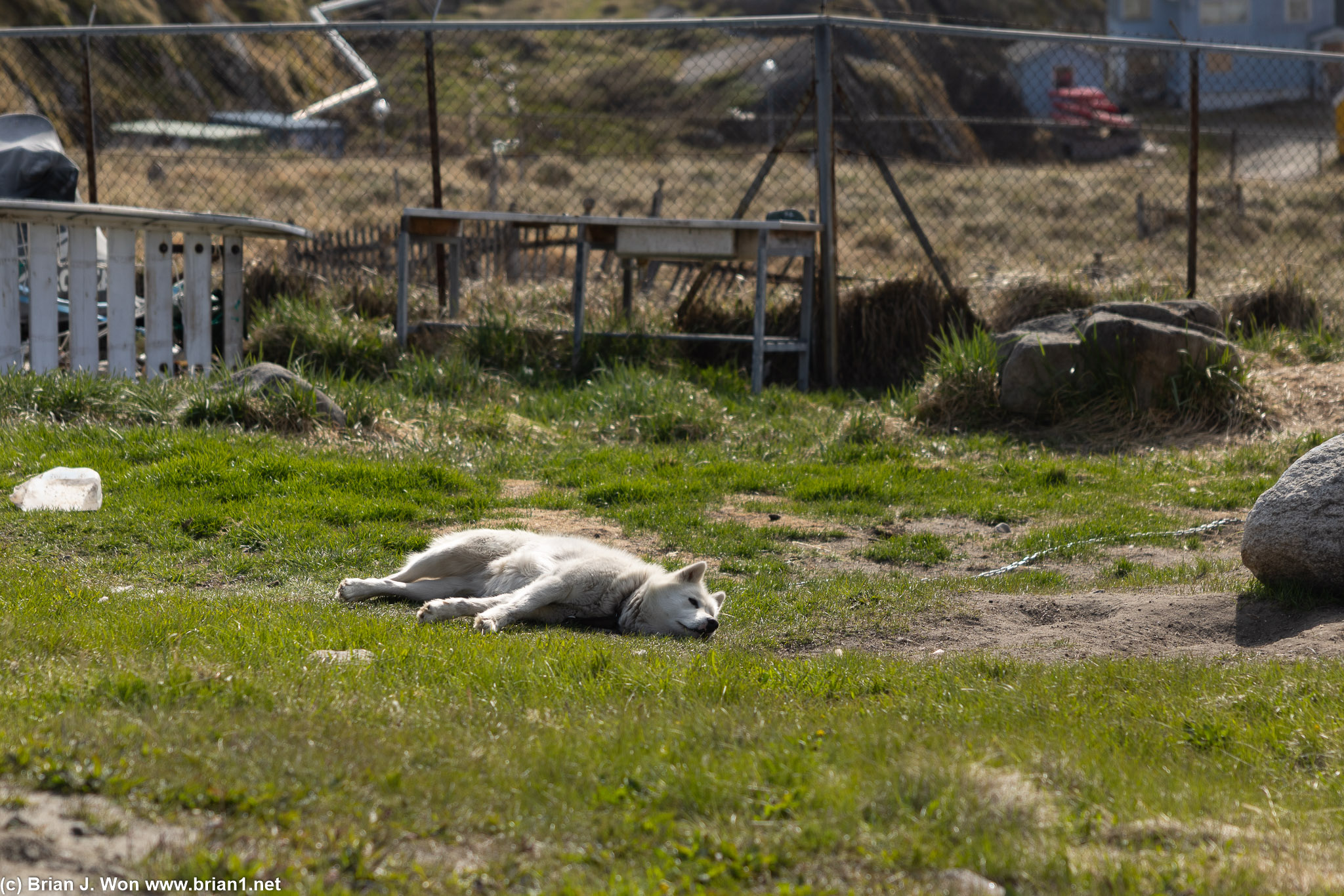 Nap time.