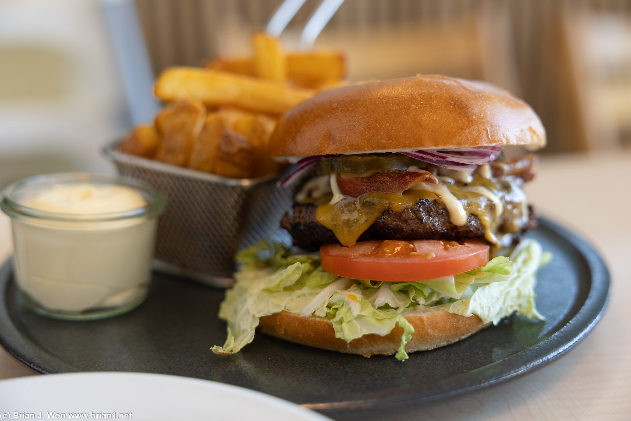 Burger at the hotel was pretty good, ditto for the fries.