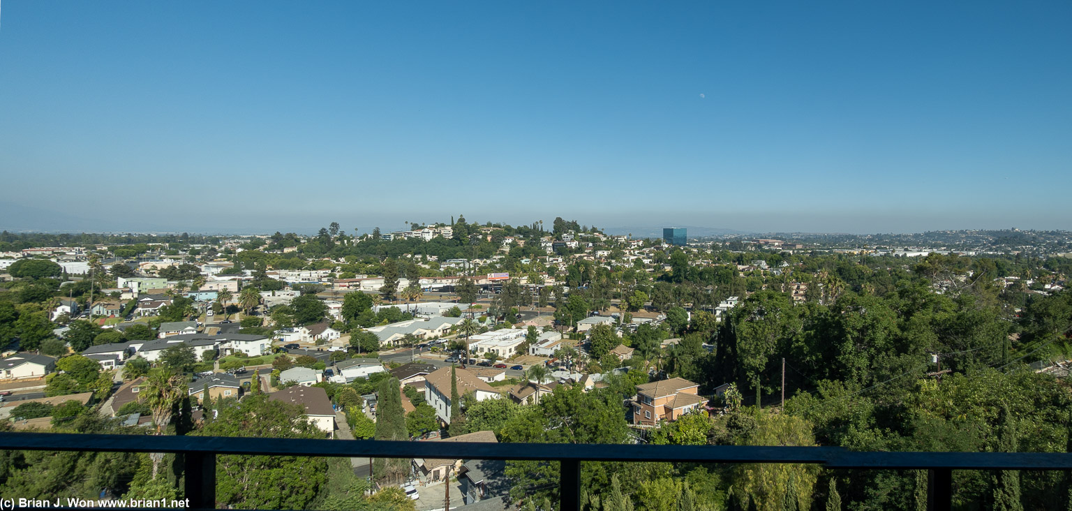 The view.
