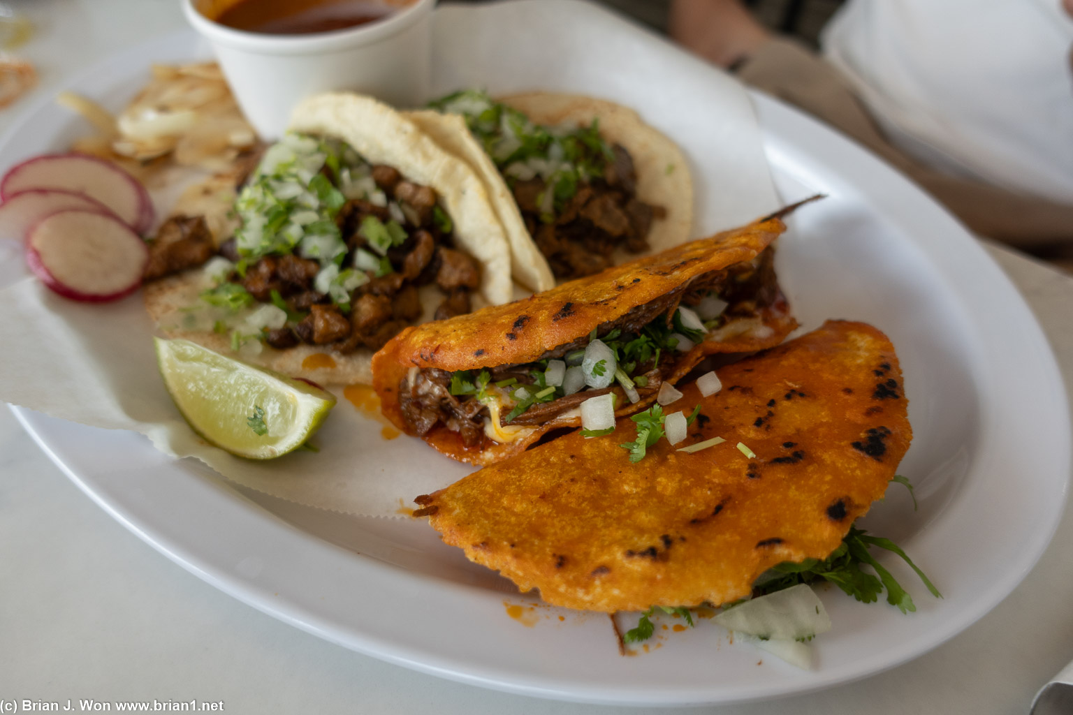 Jason went for tacos. Again good-sized, but expensive.