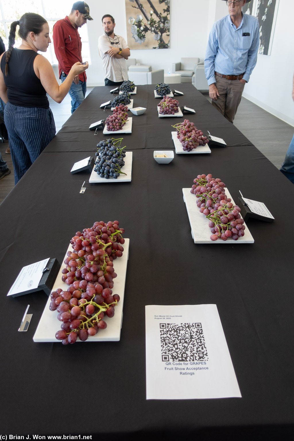 Today is fruit tasting day: grapes.