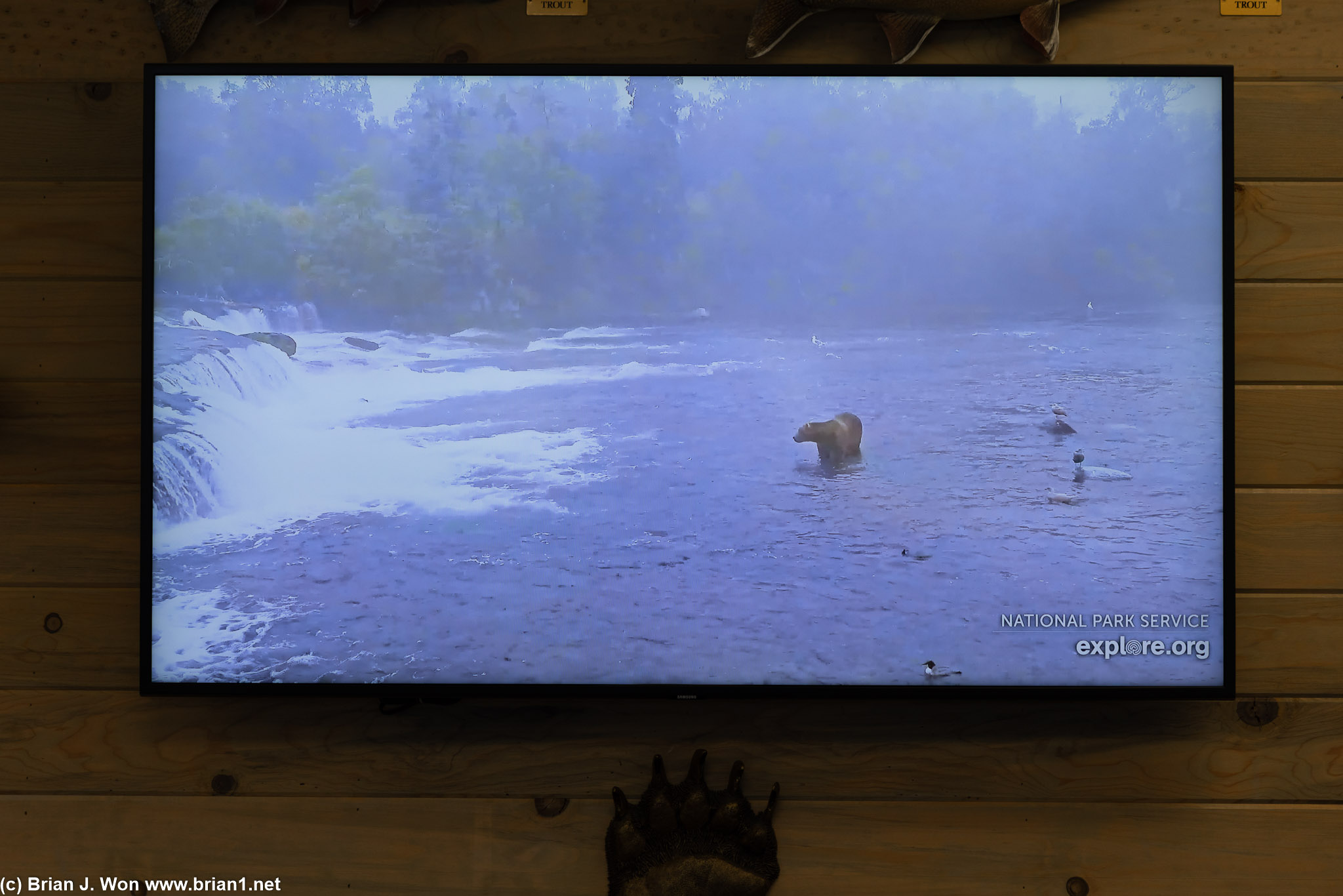 Too much fog at Katmai National Park to fly today, all flights canceled.