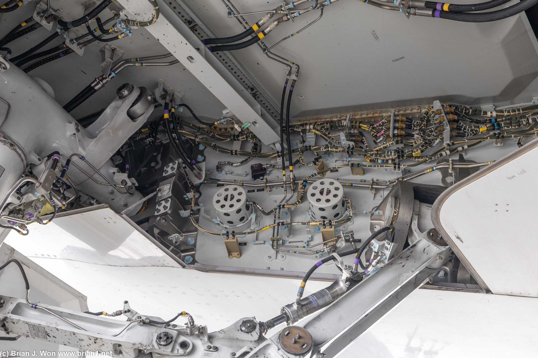 Inside of landing gear bay.