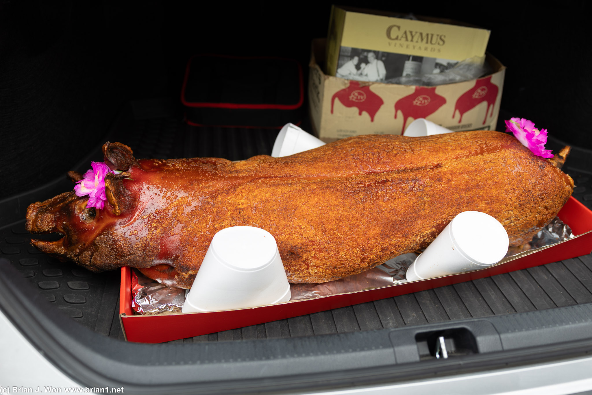 Jason picked up the pig.