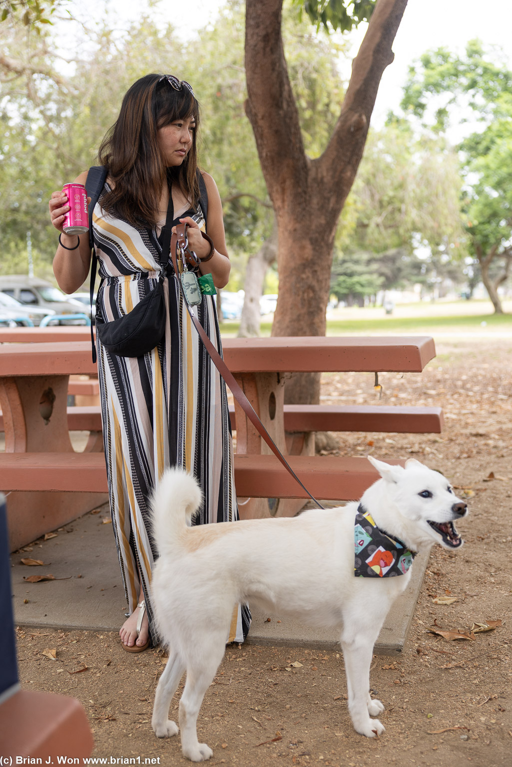 Stephanie and their pup.