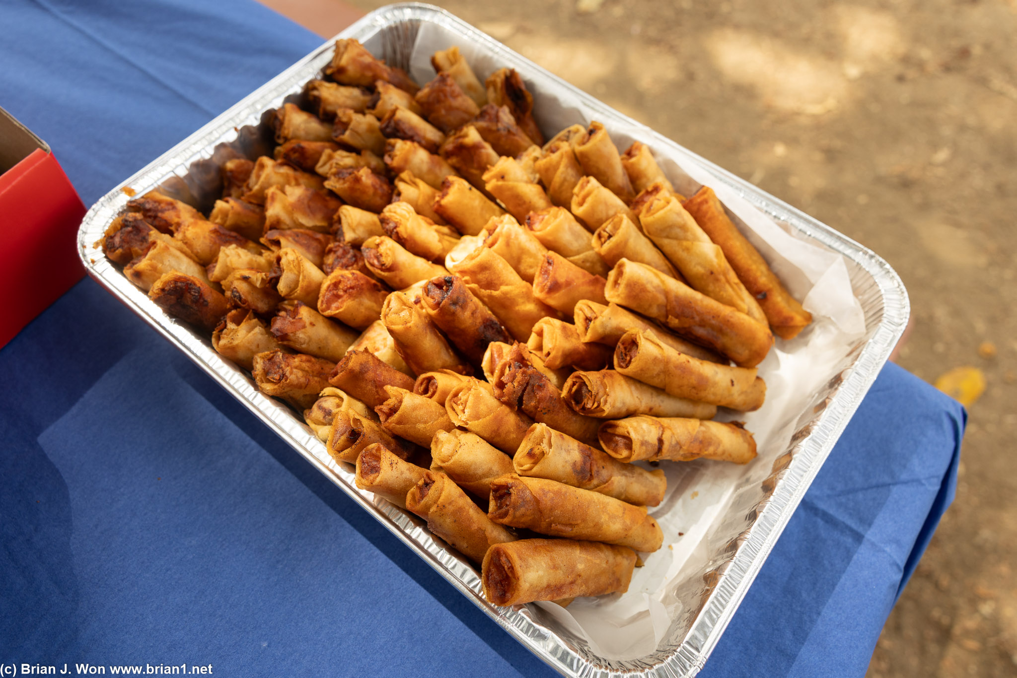 Madison brought lumpia.
