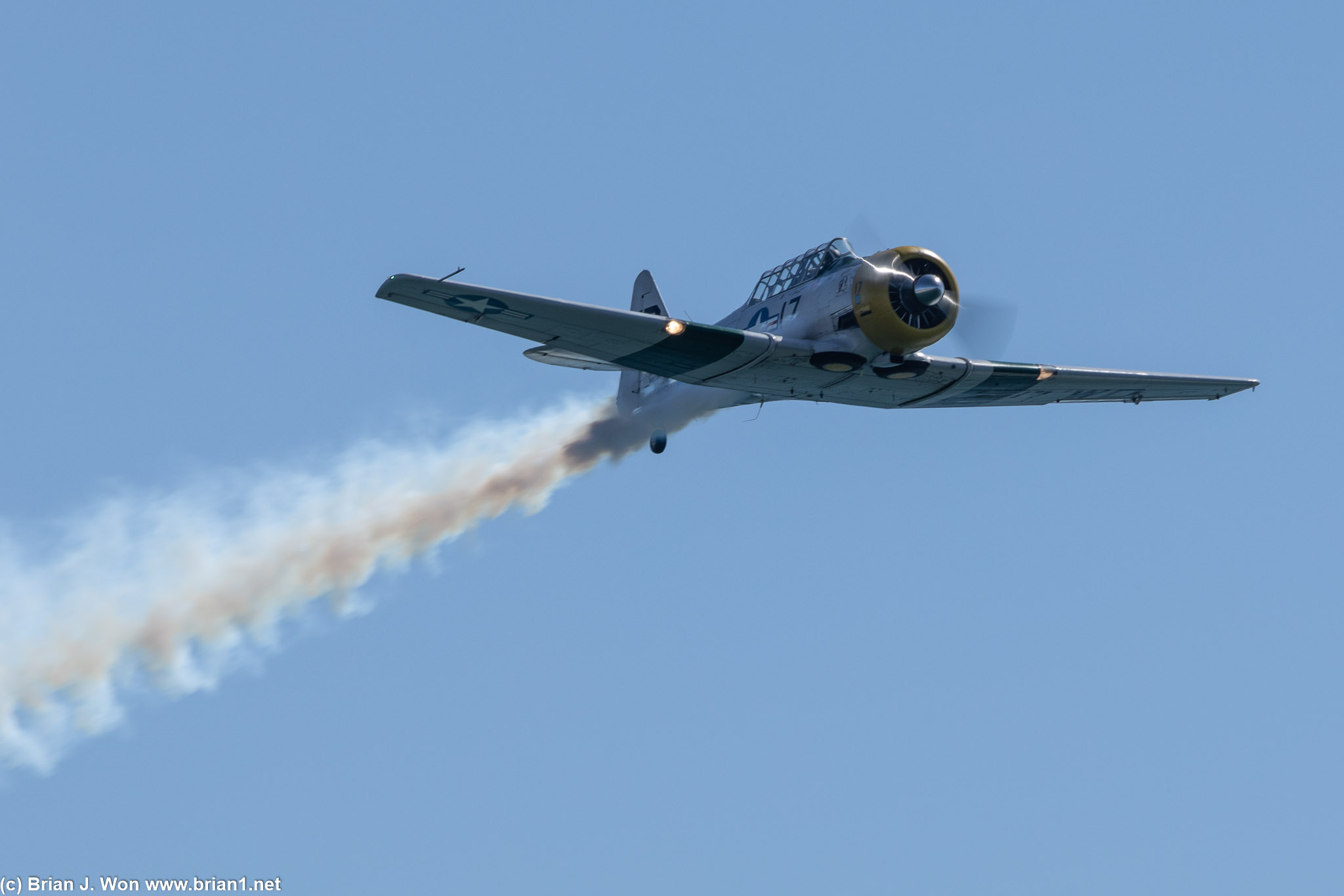 North American T-6 Texan "Wardog."