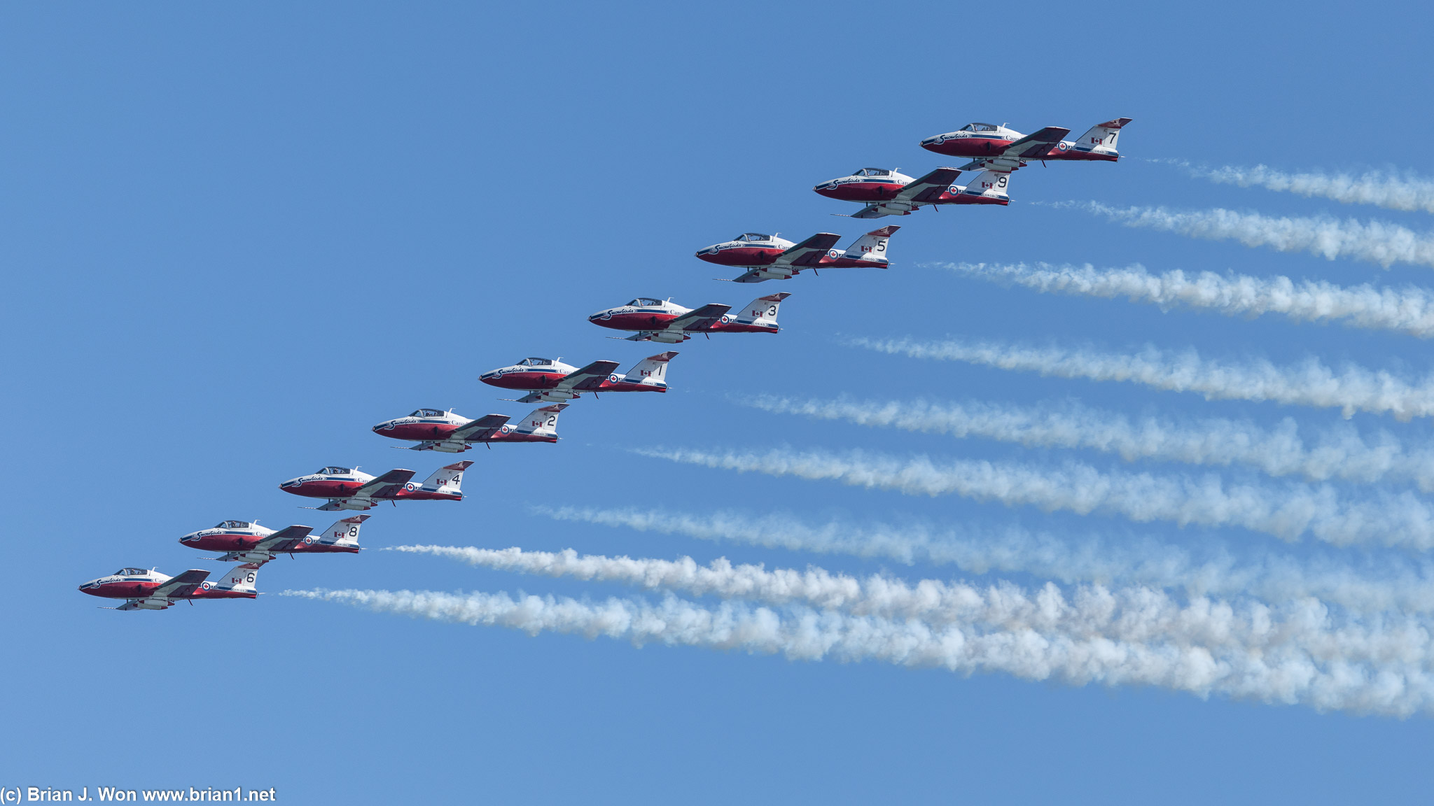 Royal Canadian Air Force Snowbirds.